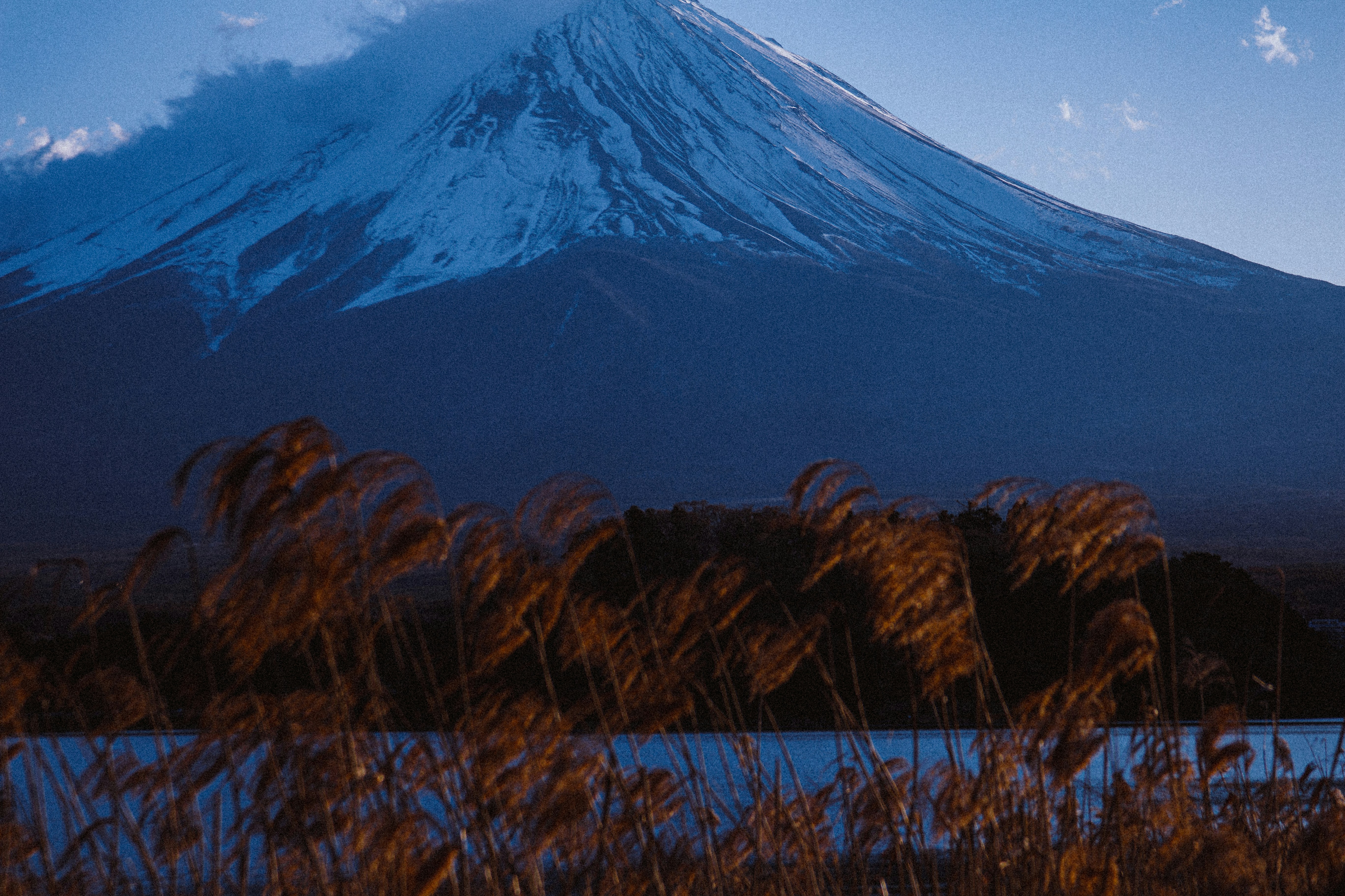 Photo by photography_schmitt