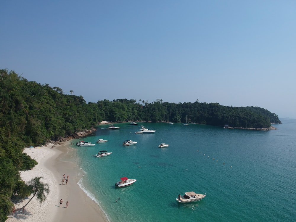 people on beach during daytime