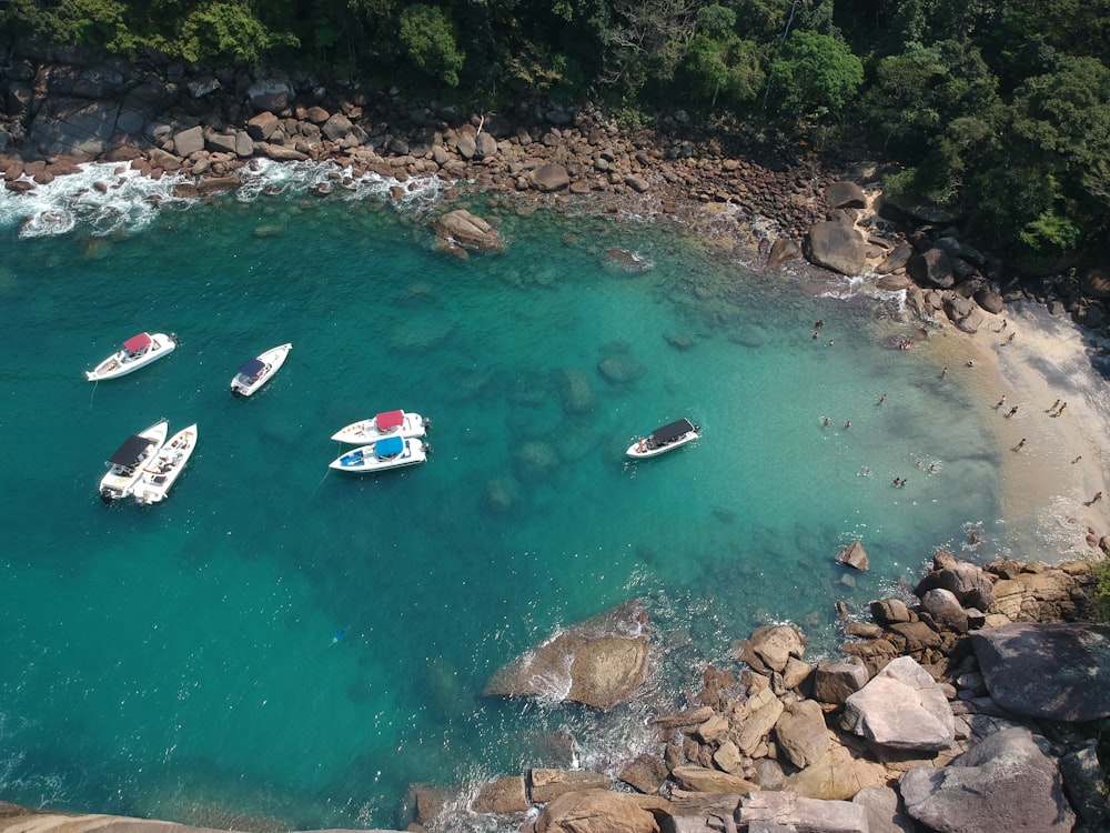 barco branco e vermelho no rio durante o dia