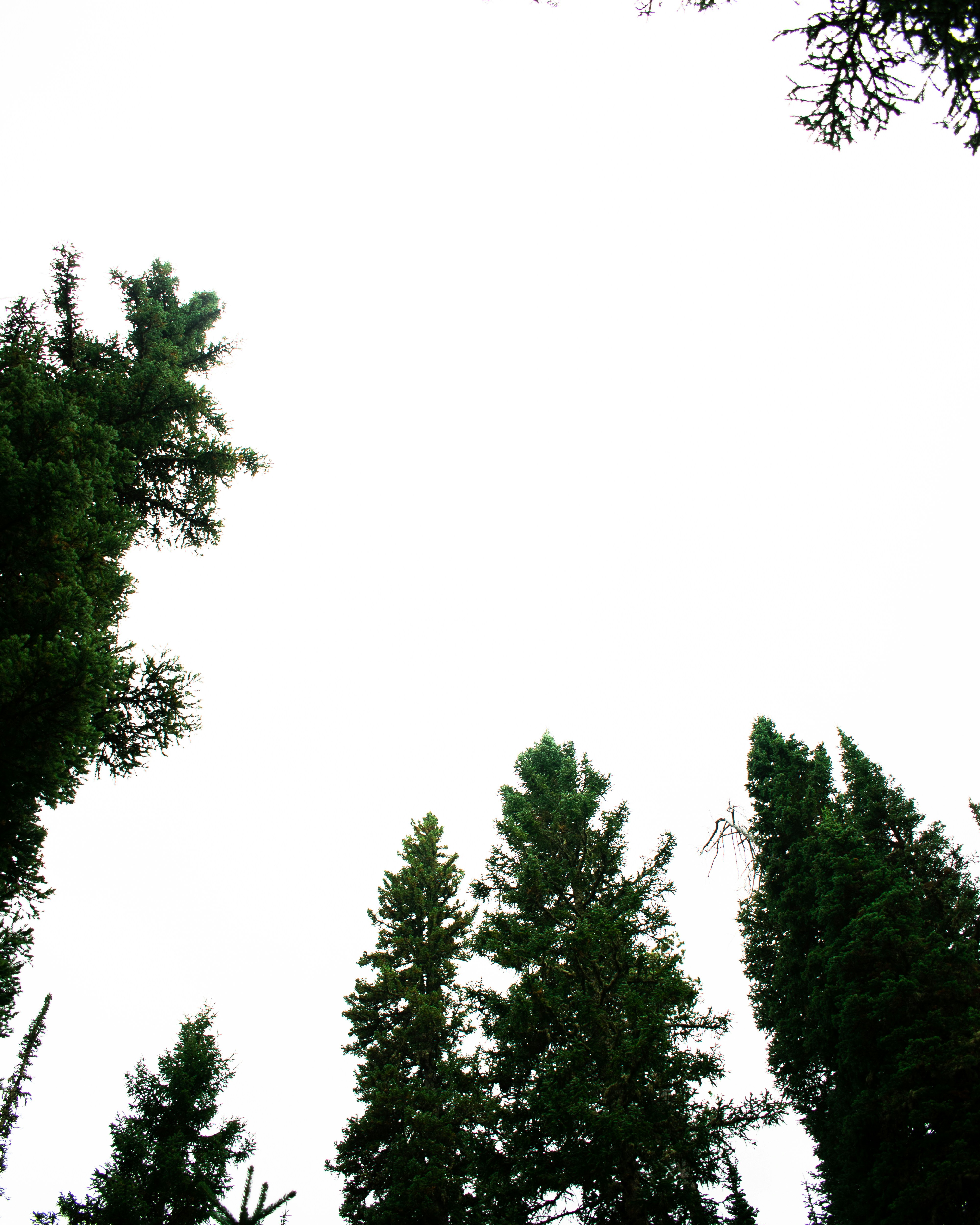 Photo by kylerarmstrong