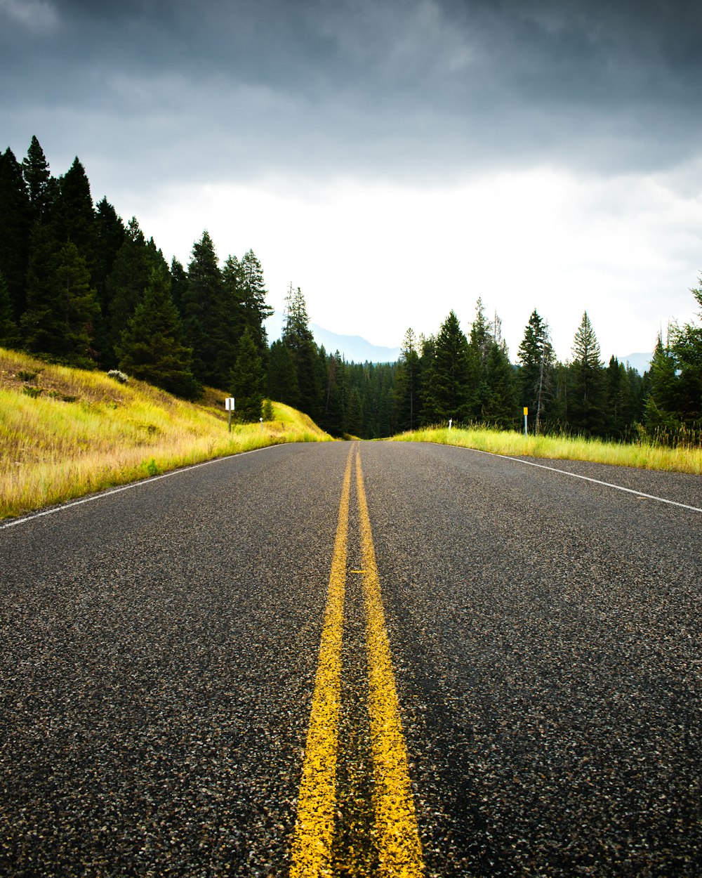 gray asphalt road between green trees under white sky during daytime