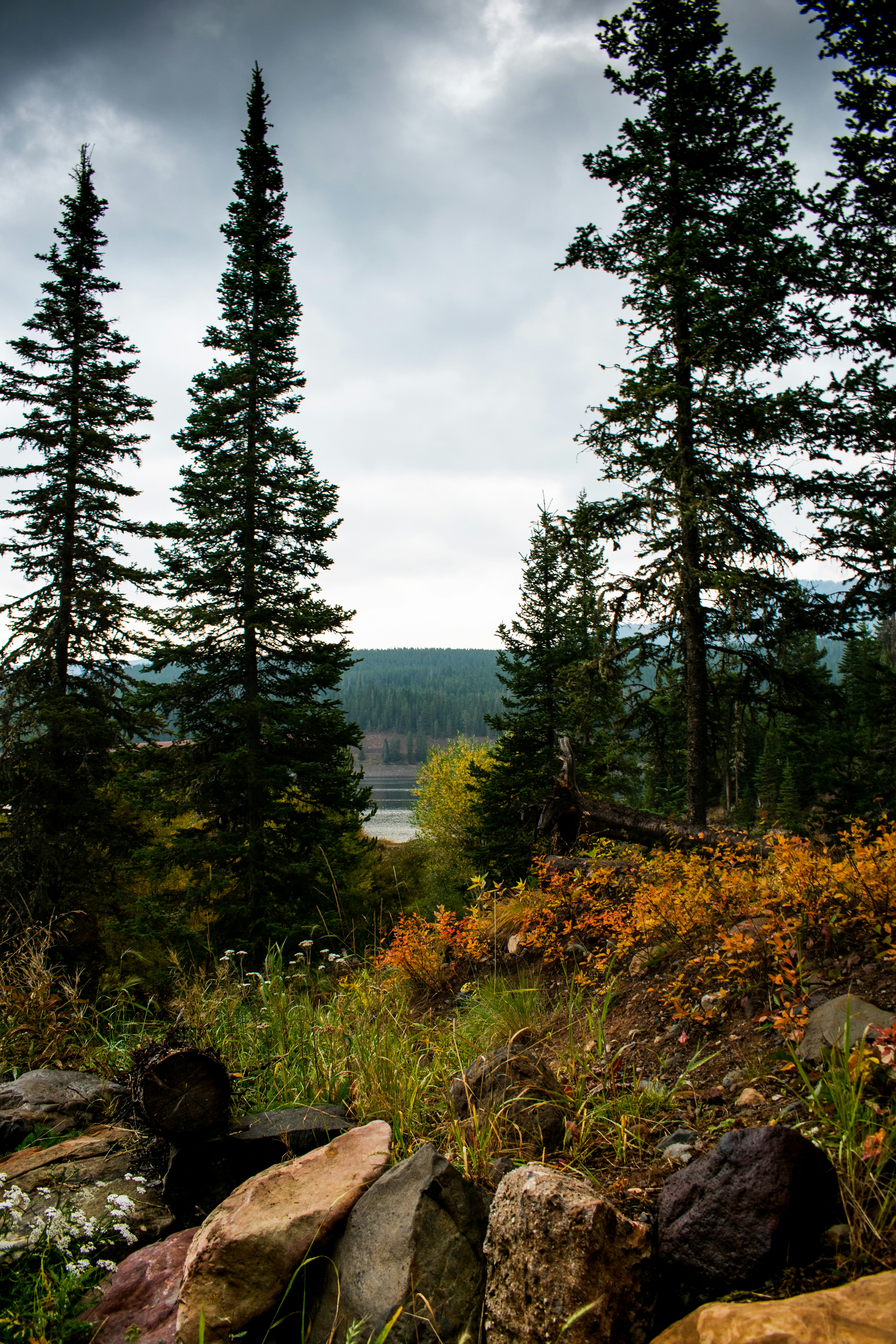 Photo by kylerarmstrong