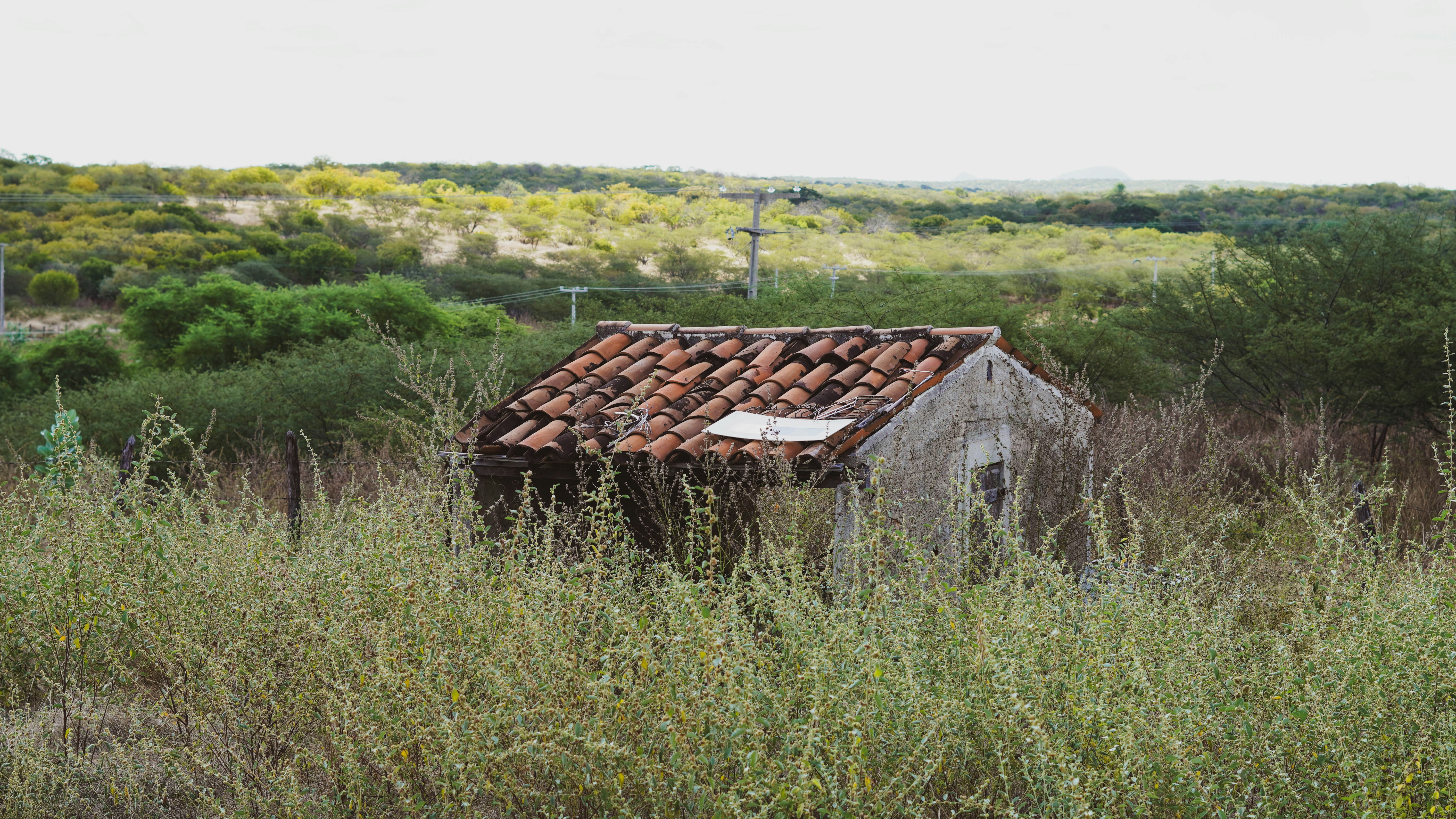 brown wooden house on green grass field during daytime