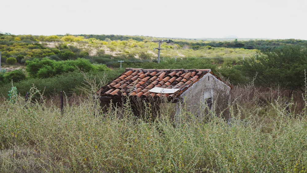 casa de madeira marrom no campo verde da grama durante o dia