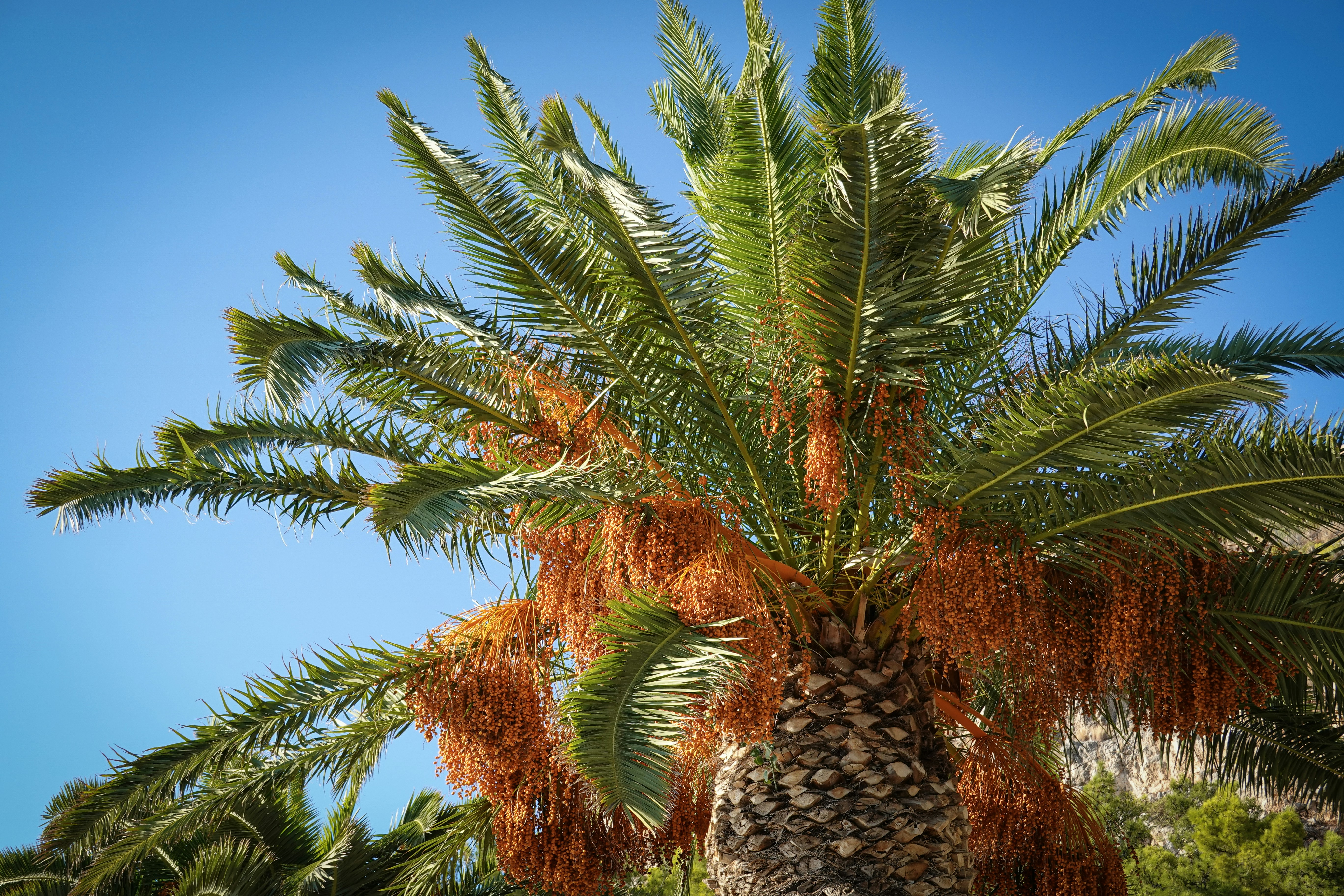 Photo by vangelis1982