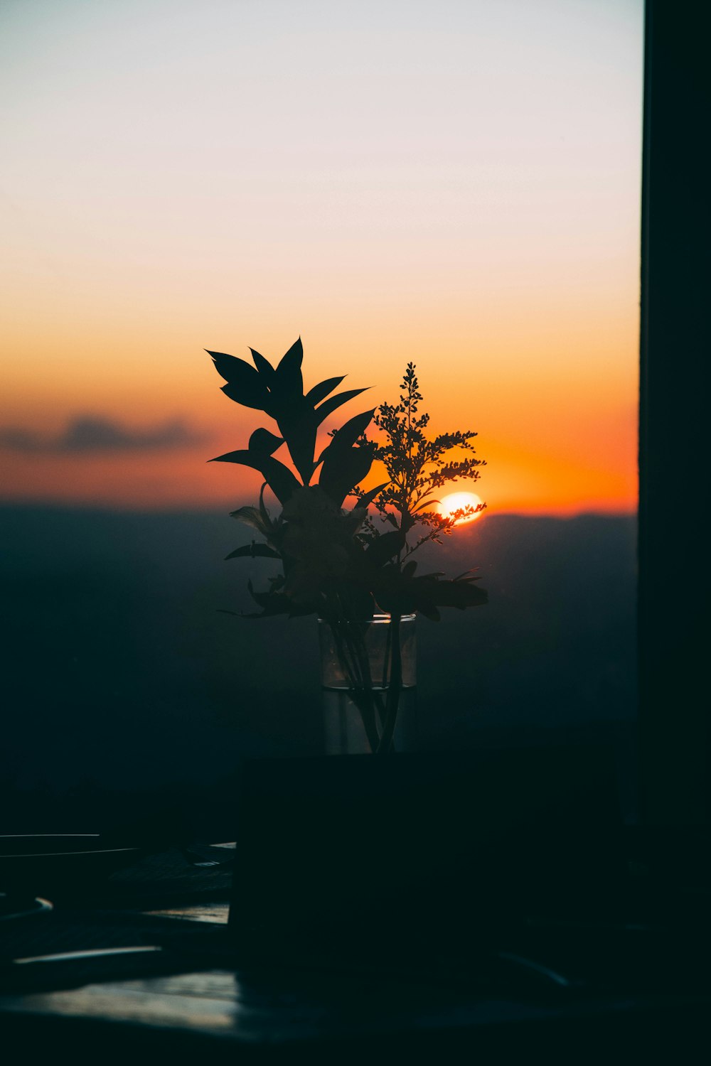 夕暮れ時の植物のシルエット