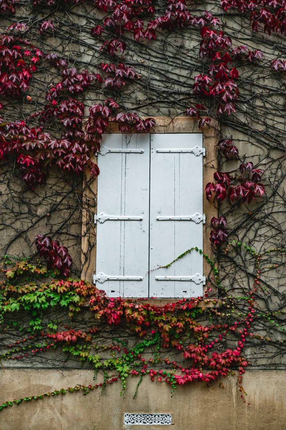 white wooden door on brown brick wall