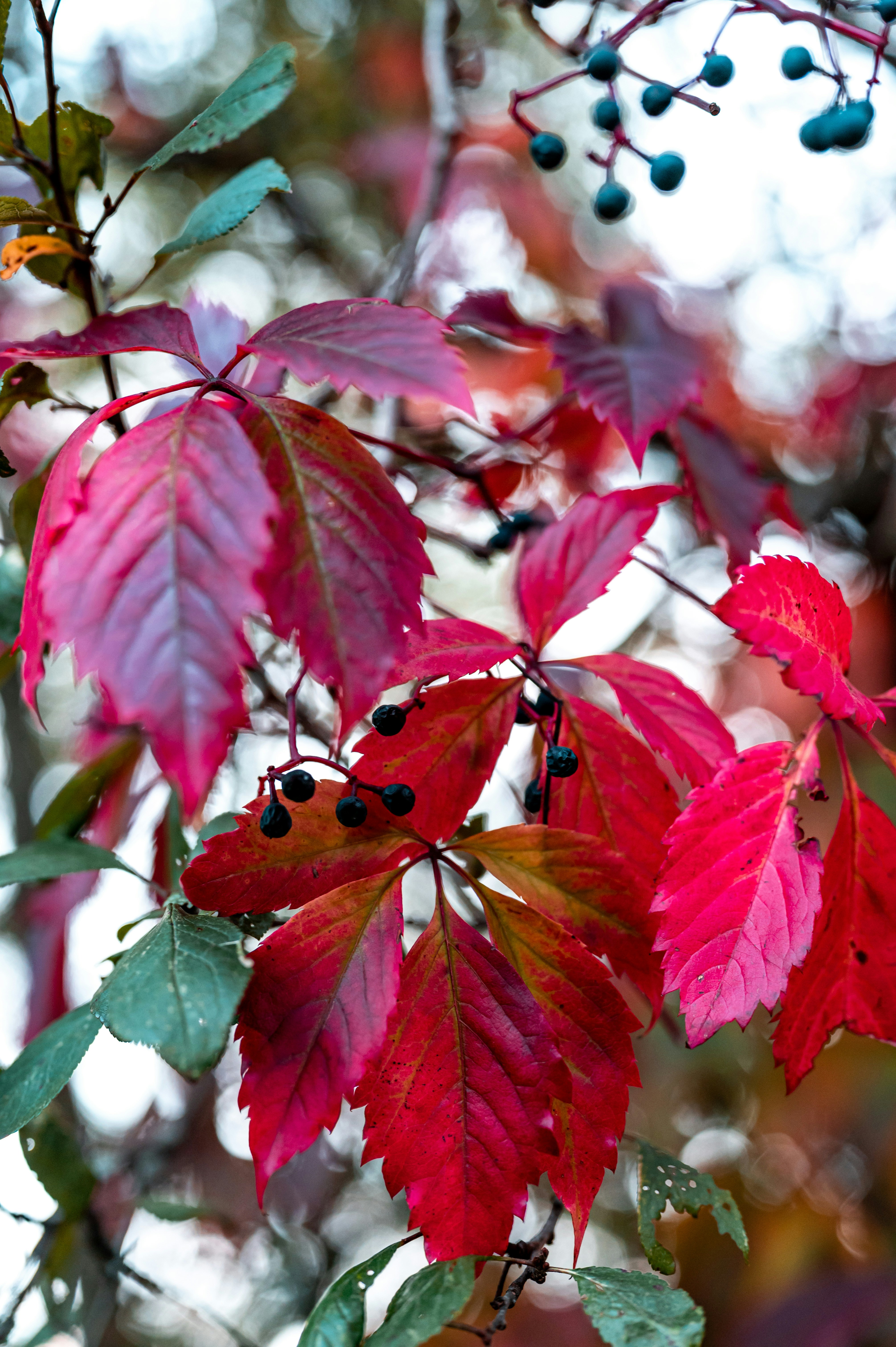 Photo by andreasbrun