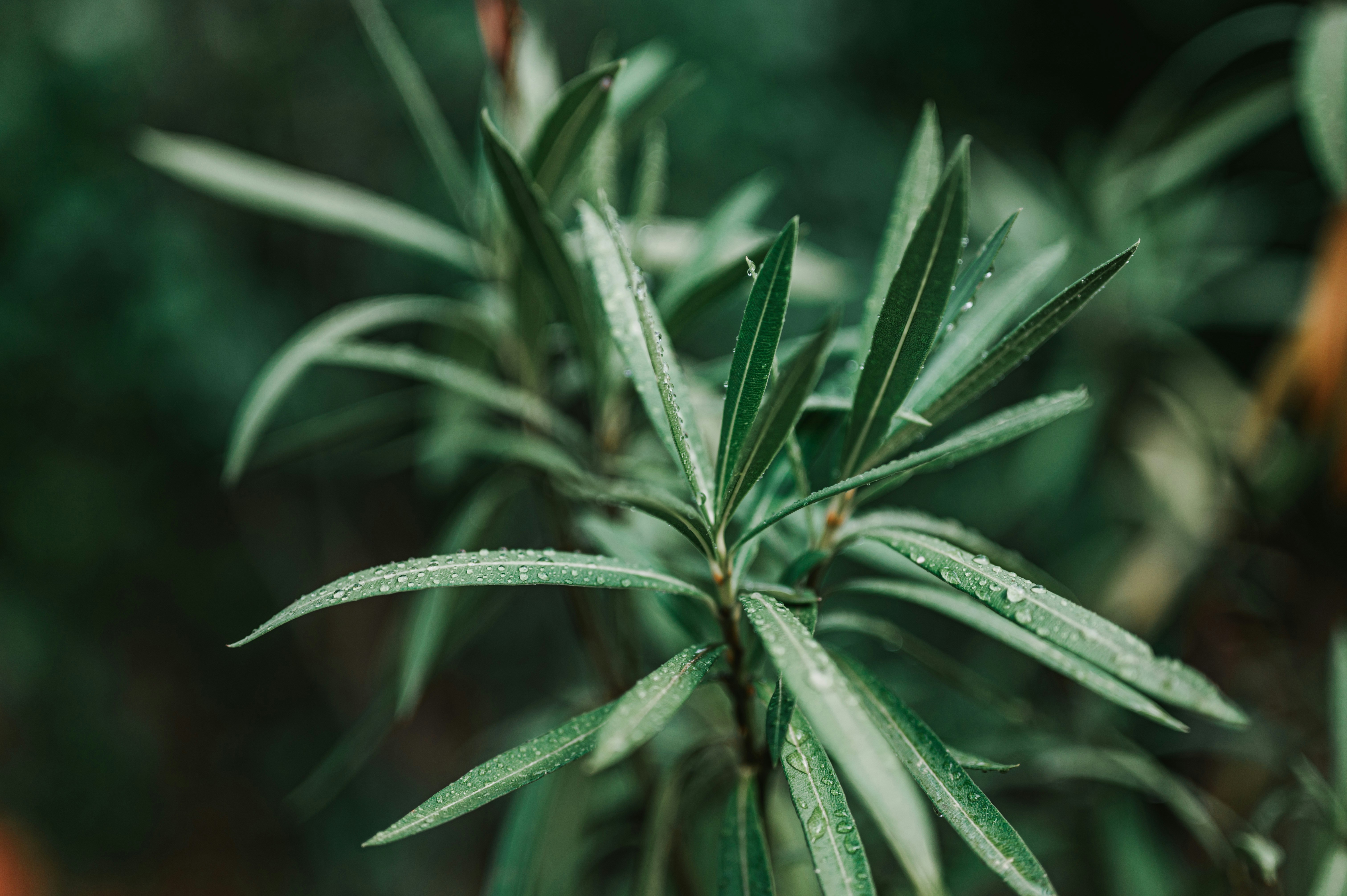 Photo by andreasbrun