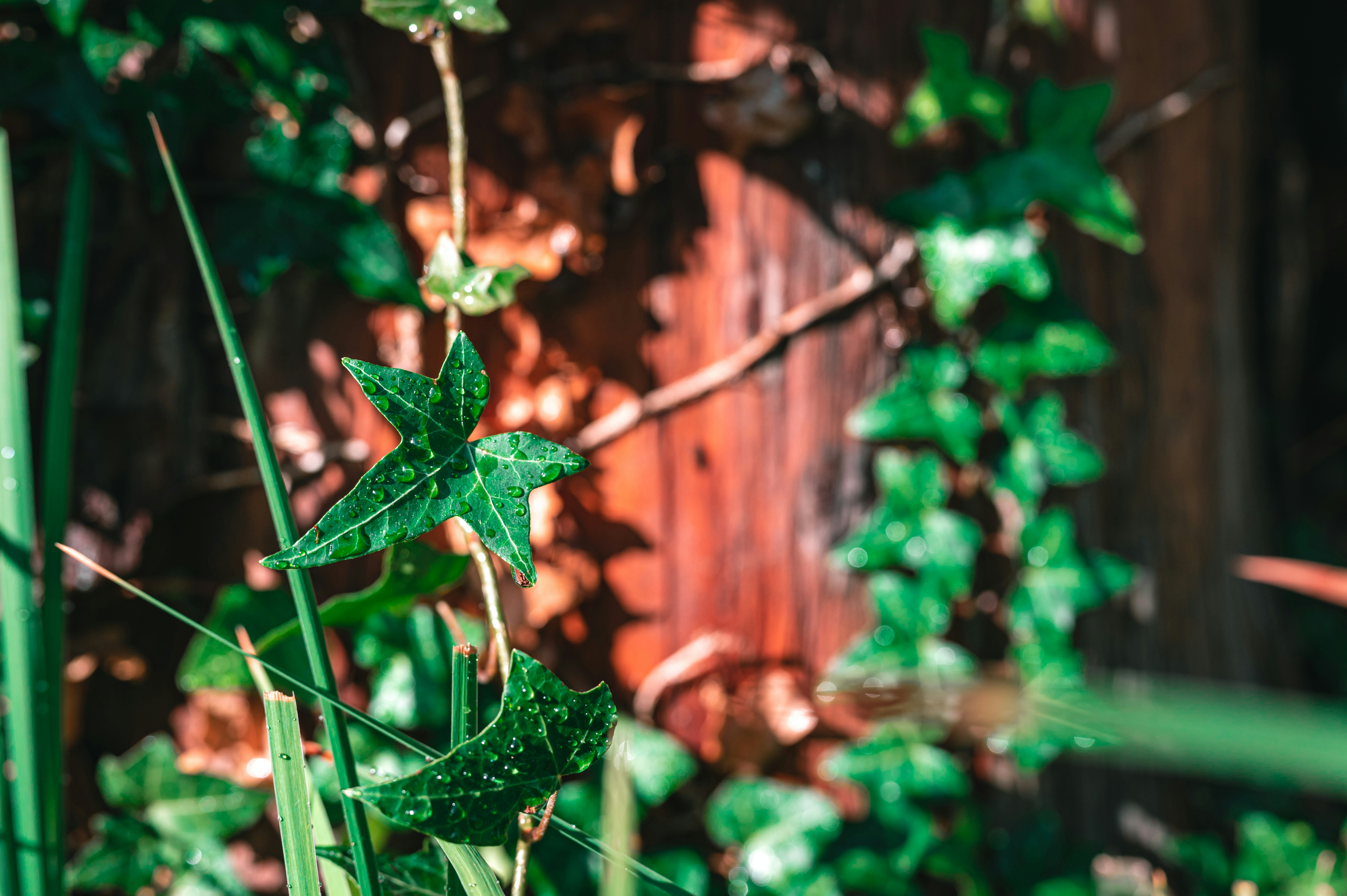 Photo by andreasbrun