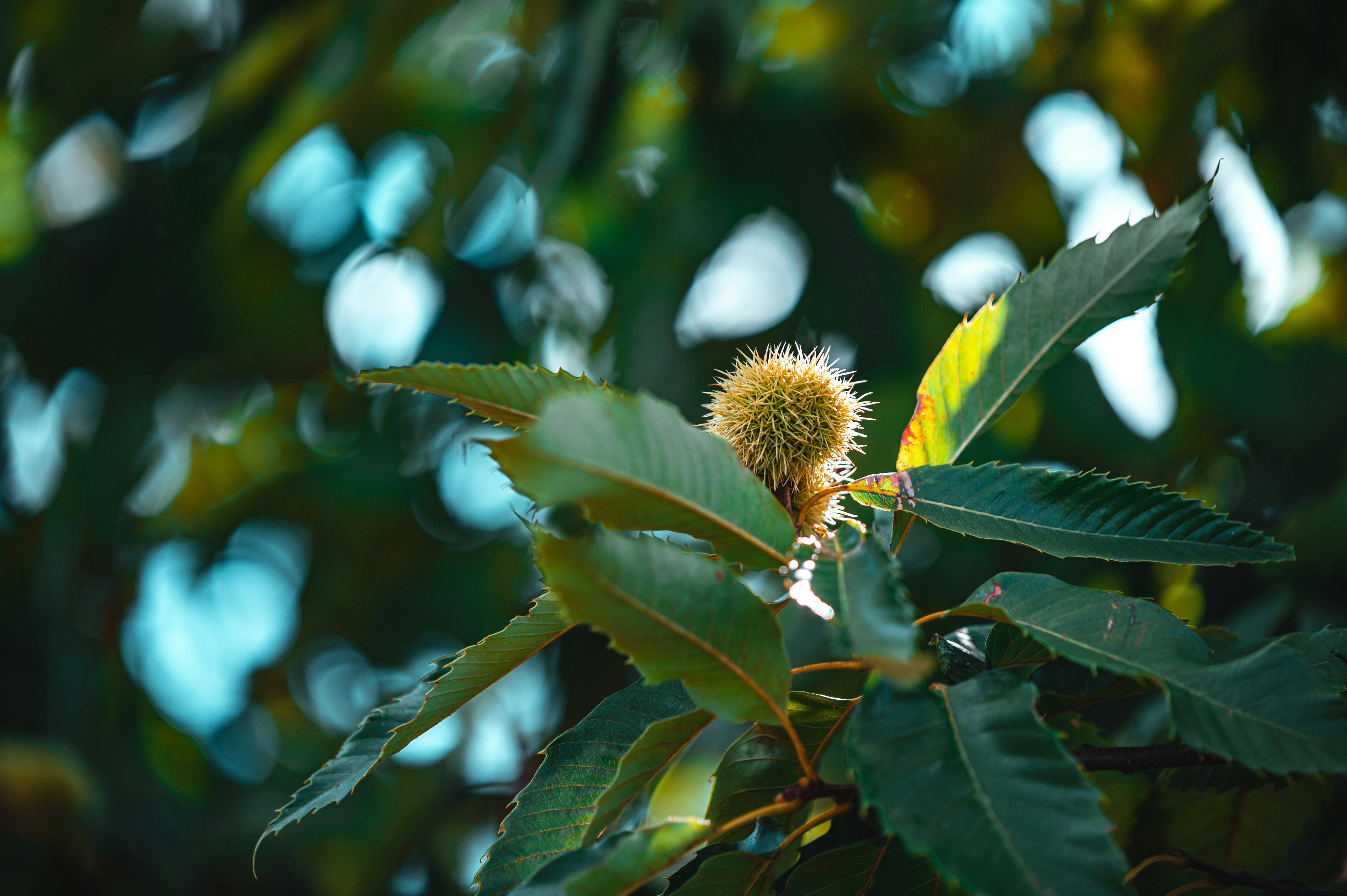 Photo by andreasbrun