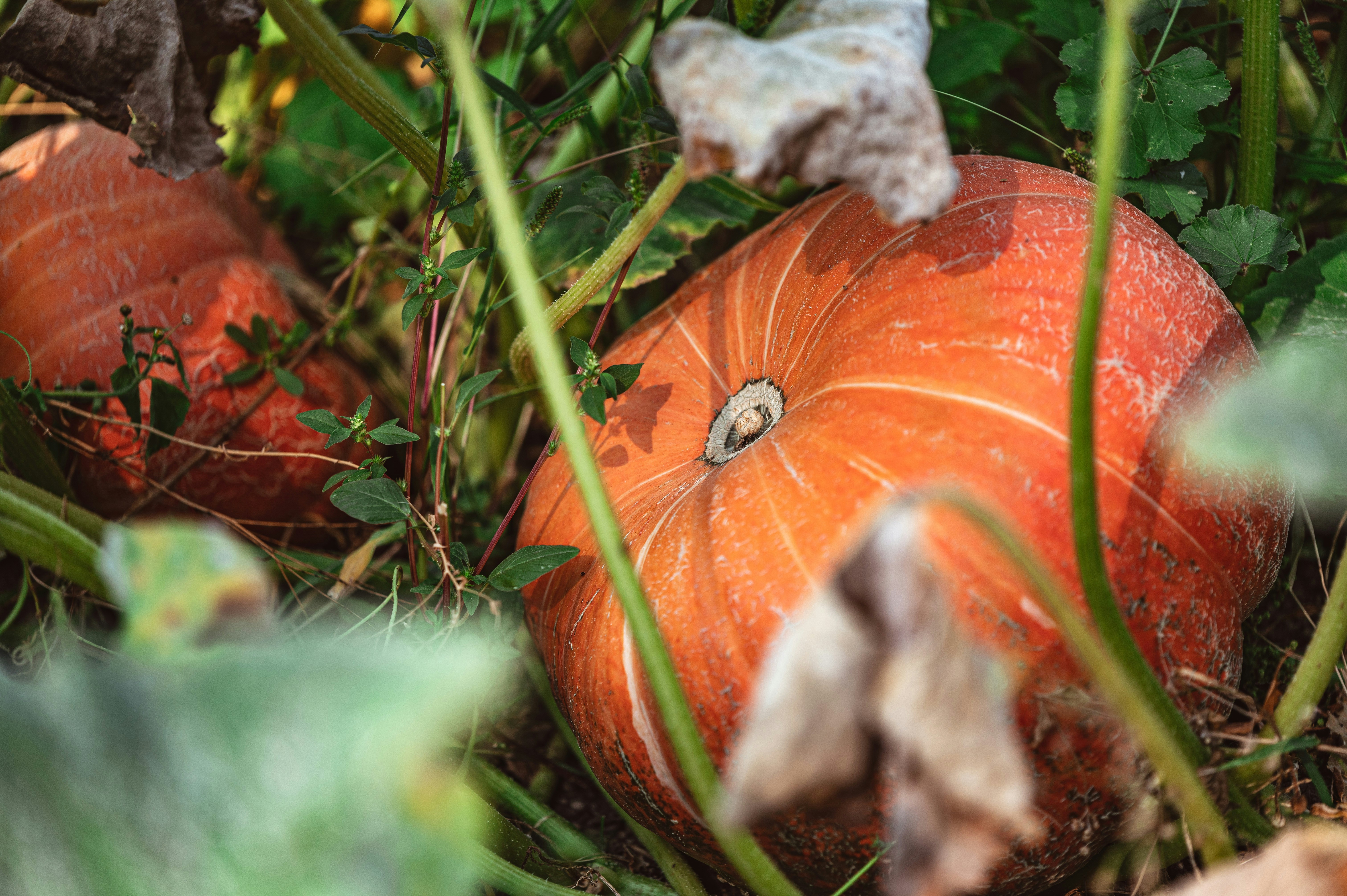 Photo by andreasbrun