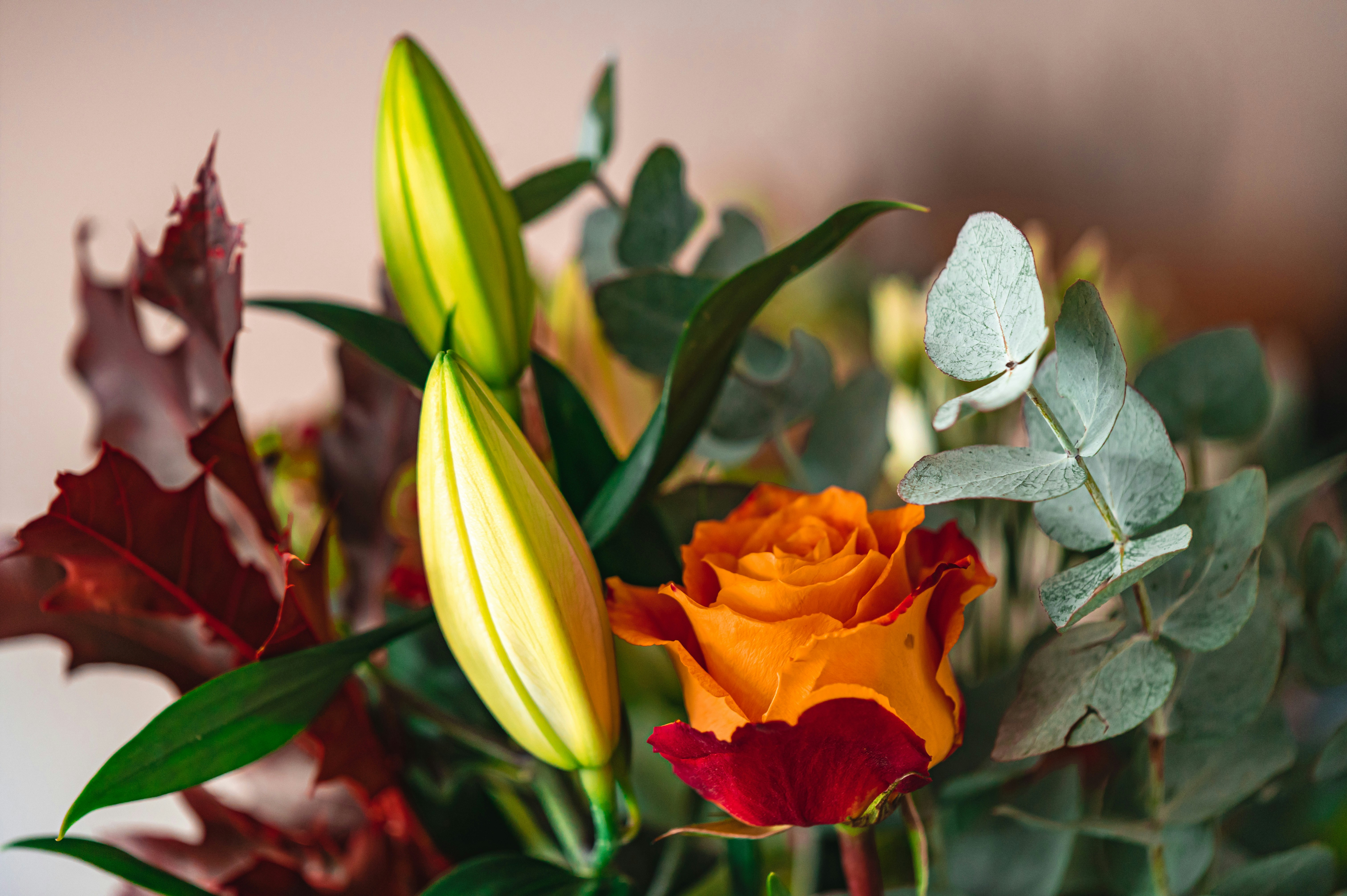 Photo by andreasbrun