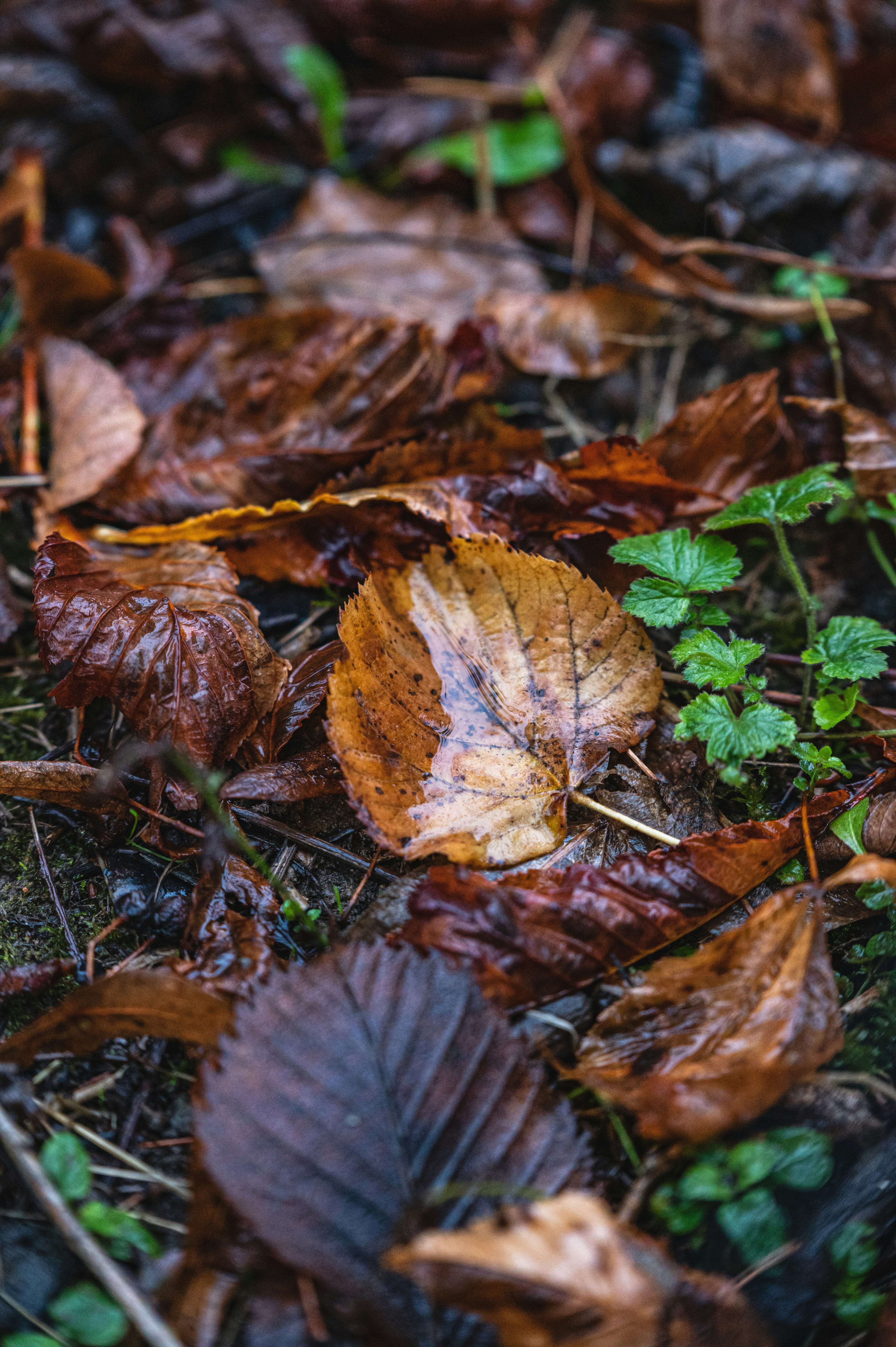 Photo by andreasbrun