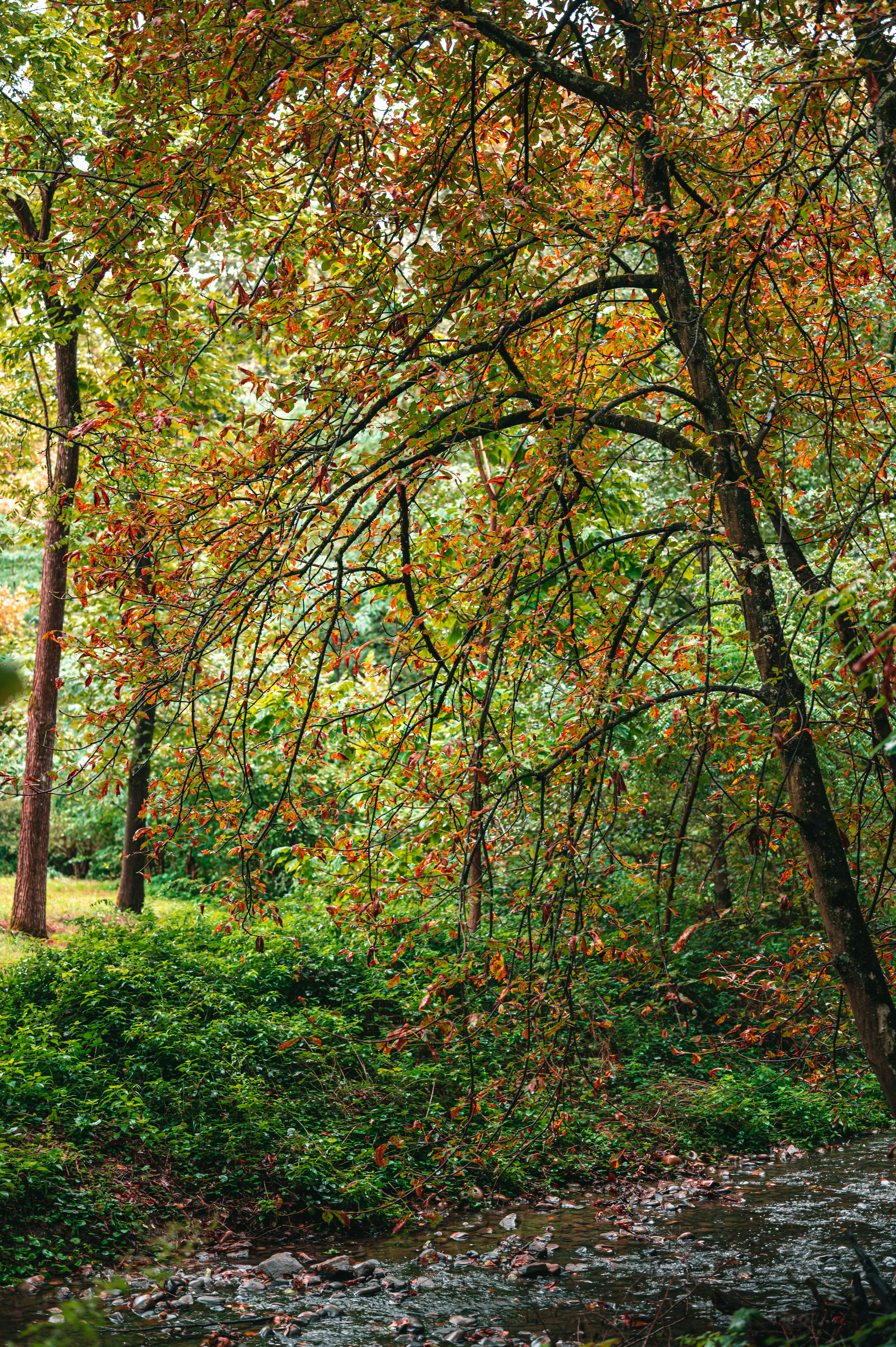 Photo by andreasbrun