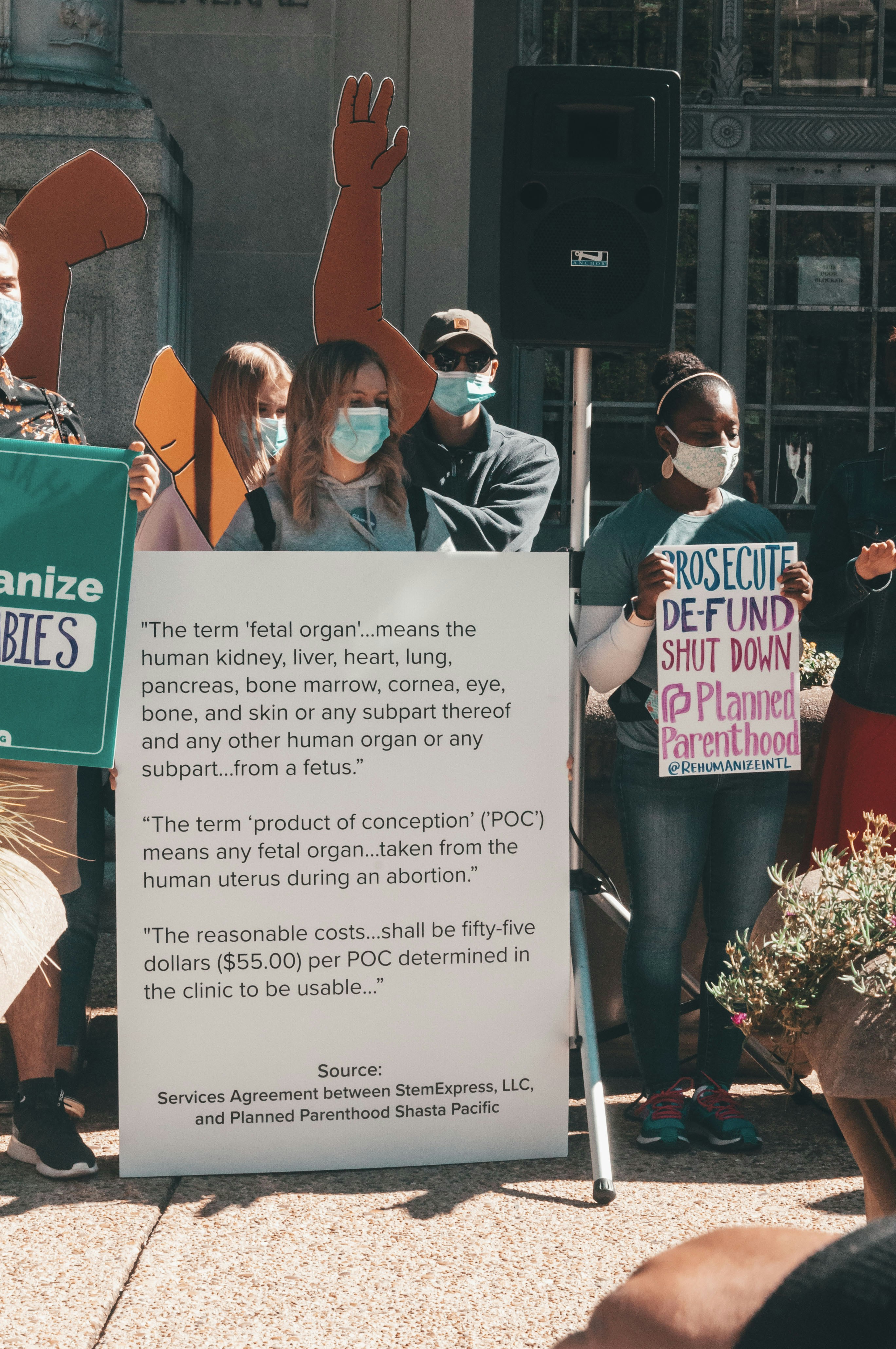 Pro Choice Pictures | Download Free Images on Unsplash