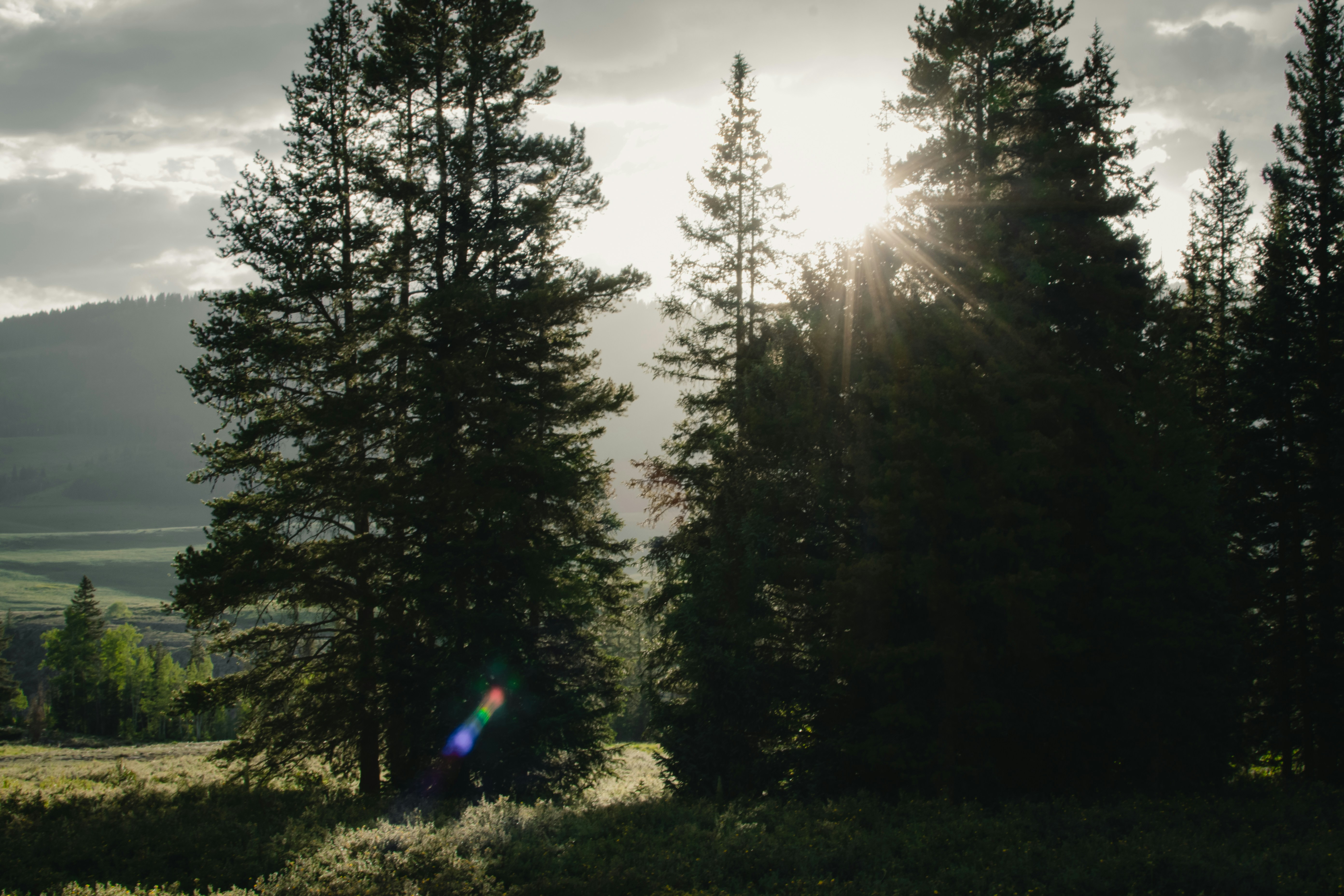 Photo by harrisonfitts