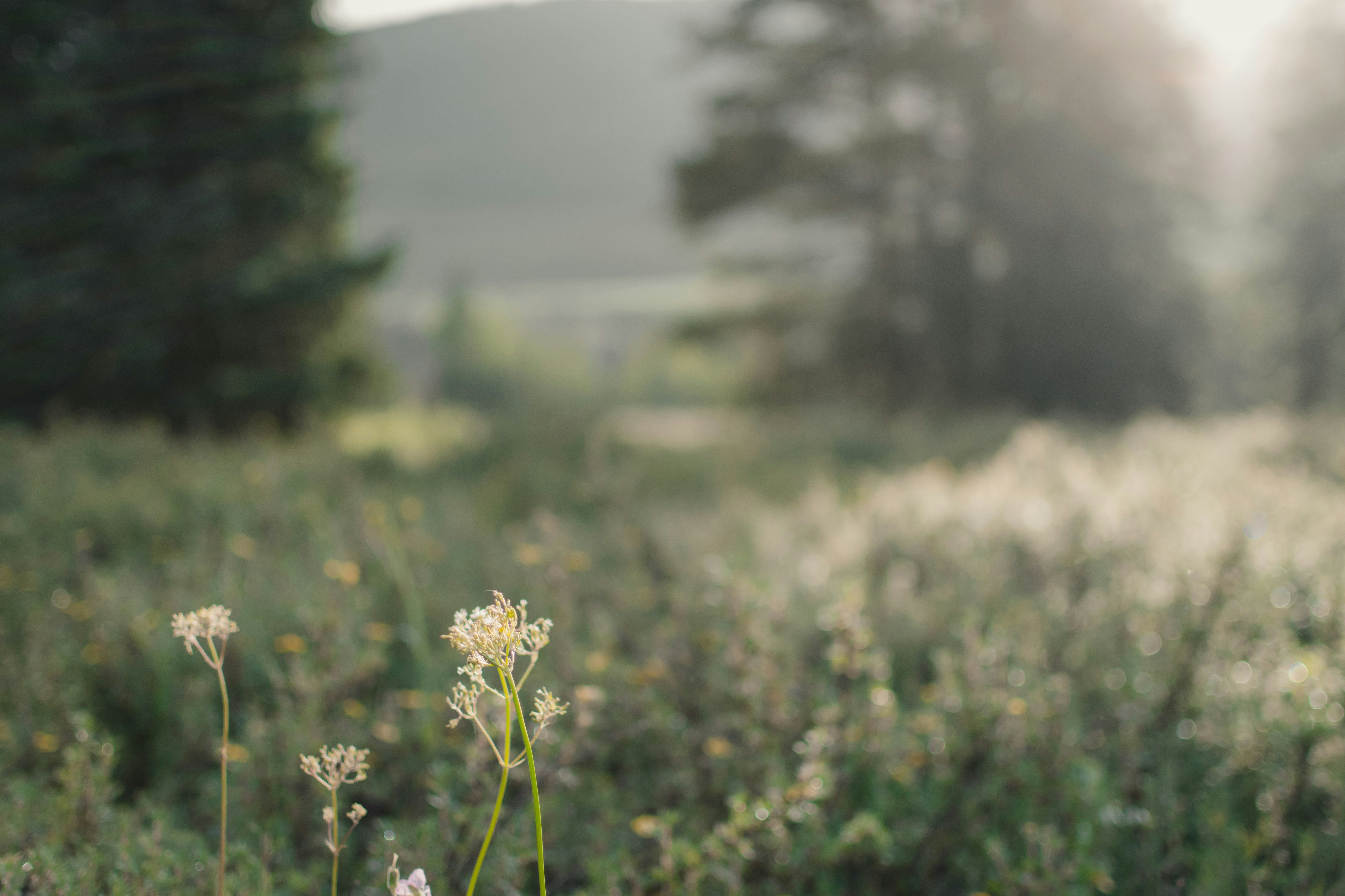 Photo by harrisonfitts