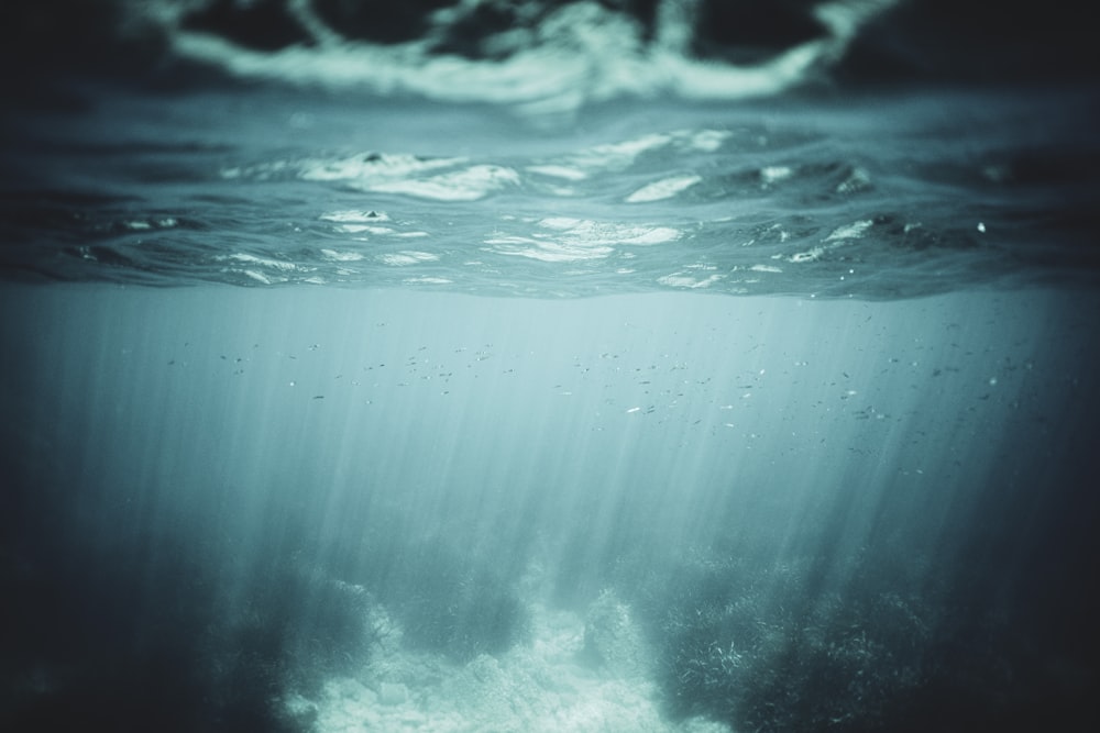 water wave in close up photography