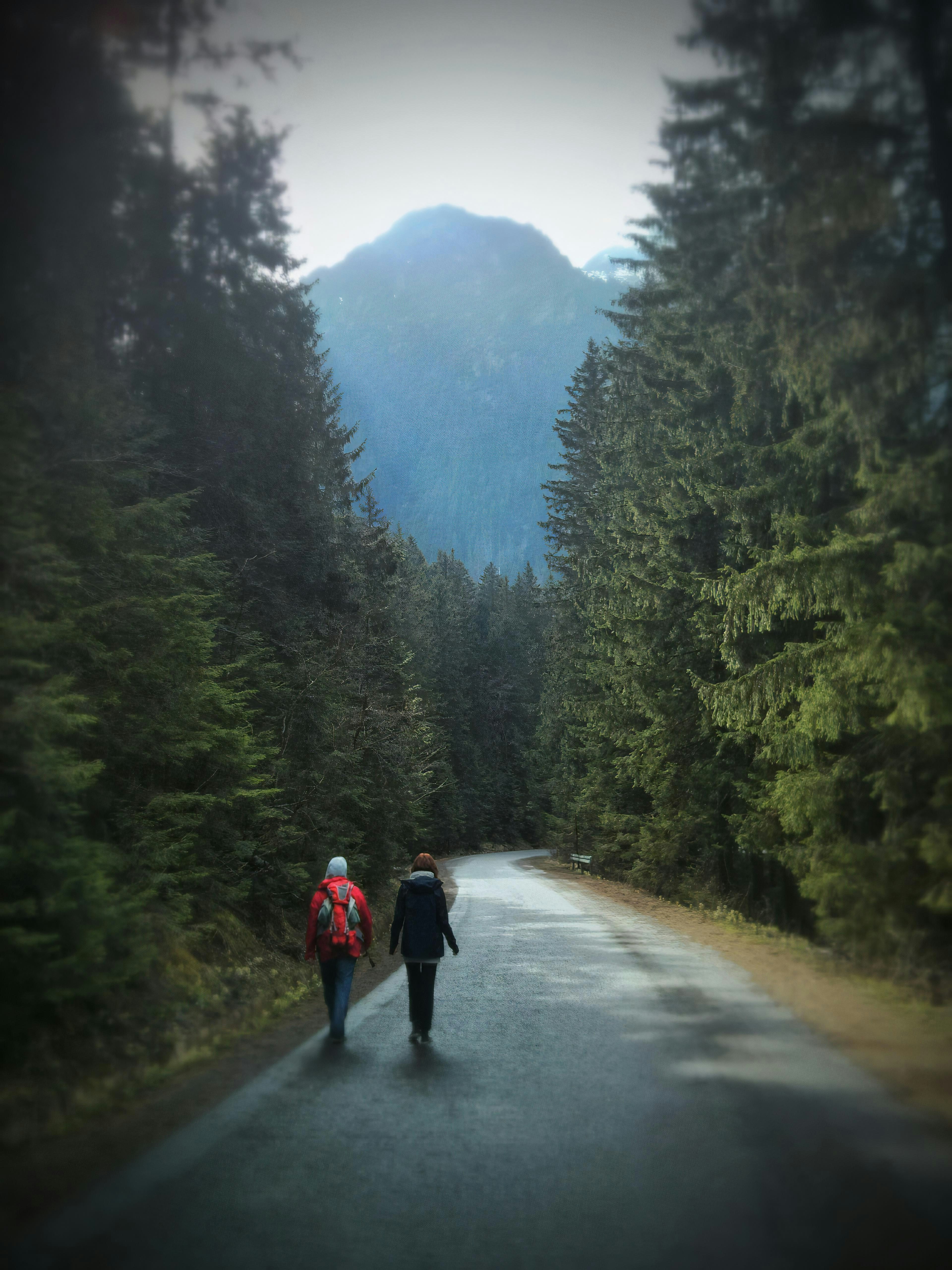 2 women walking on road between green trees during daytime