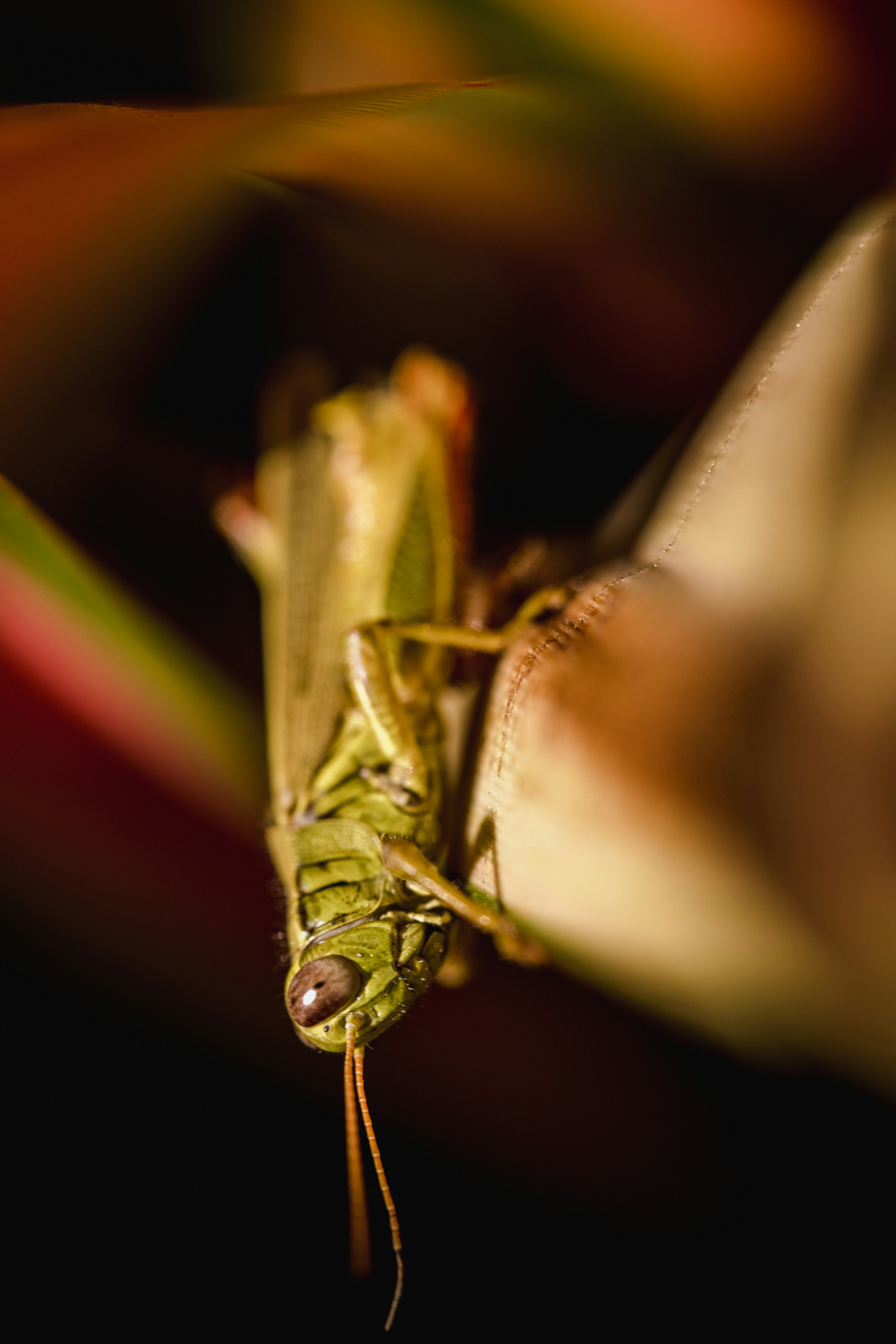 Photo by ninjason