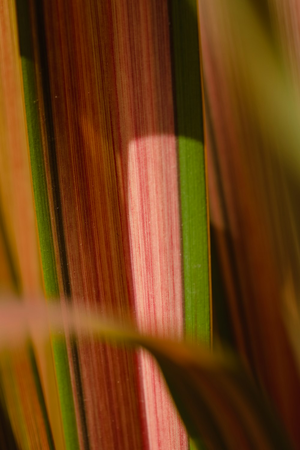 green and brown wooden panel