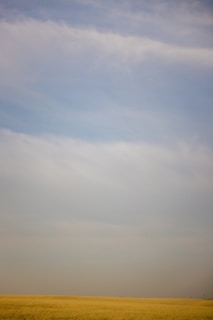 Wide shot of rolling Colorado prairie under a clear blue sky with native grasses swaying gently