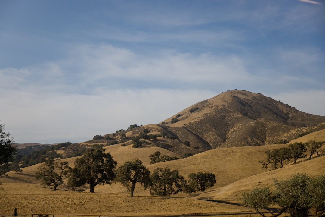 green trees on brown field near brown mountain under white clouds during daytime