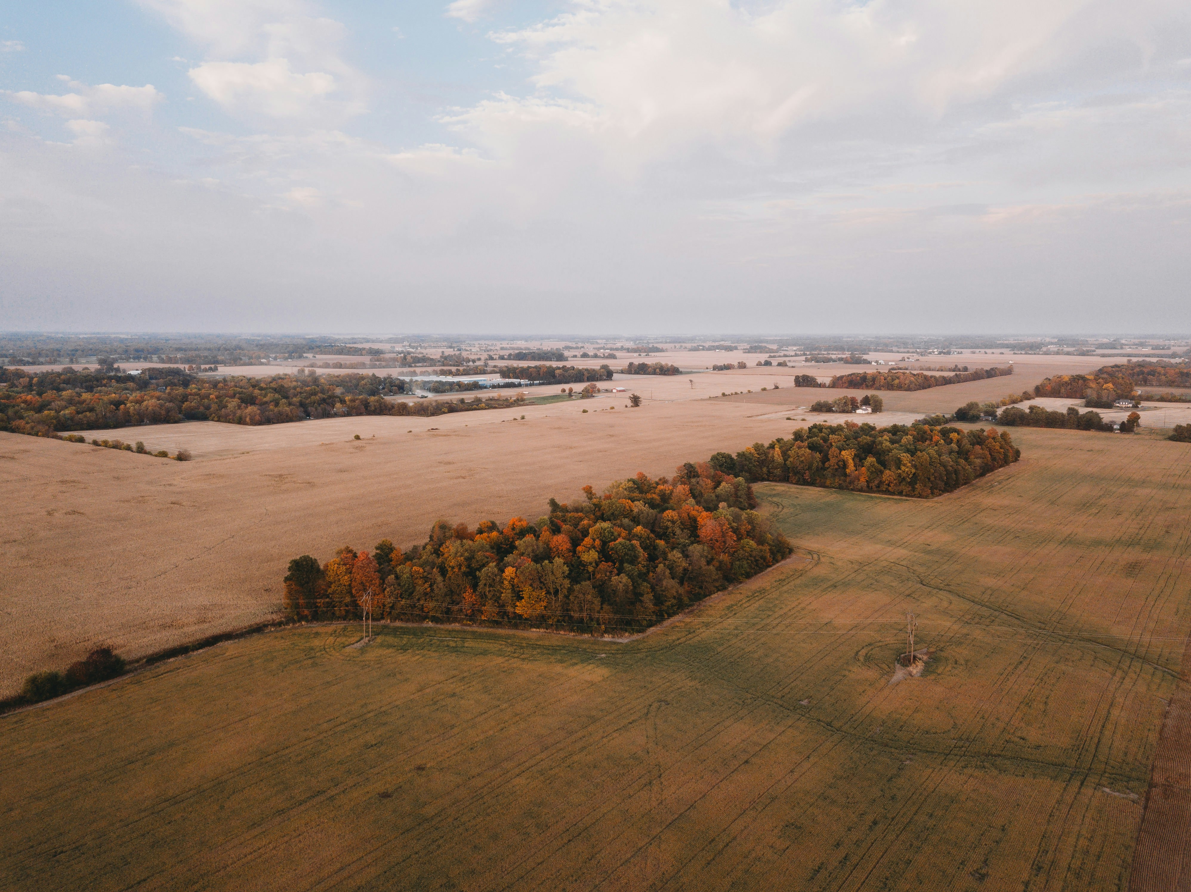 Photo by stevenvanelk