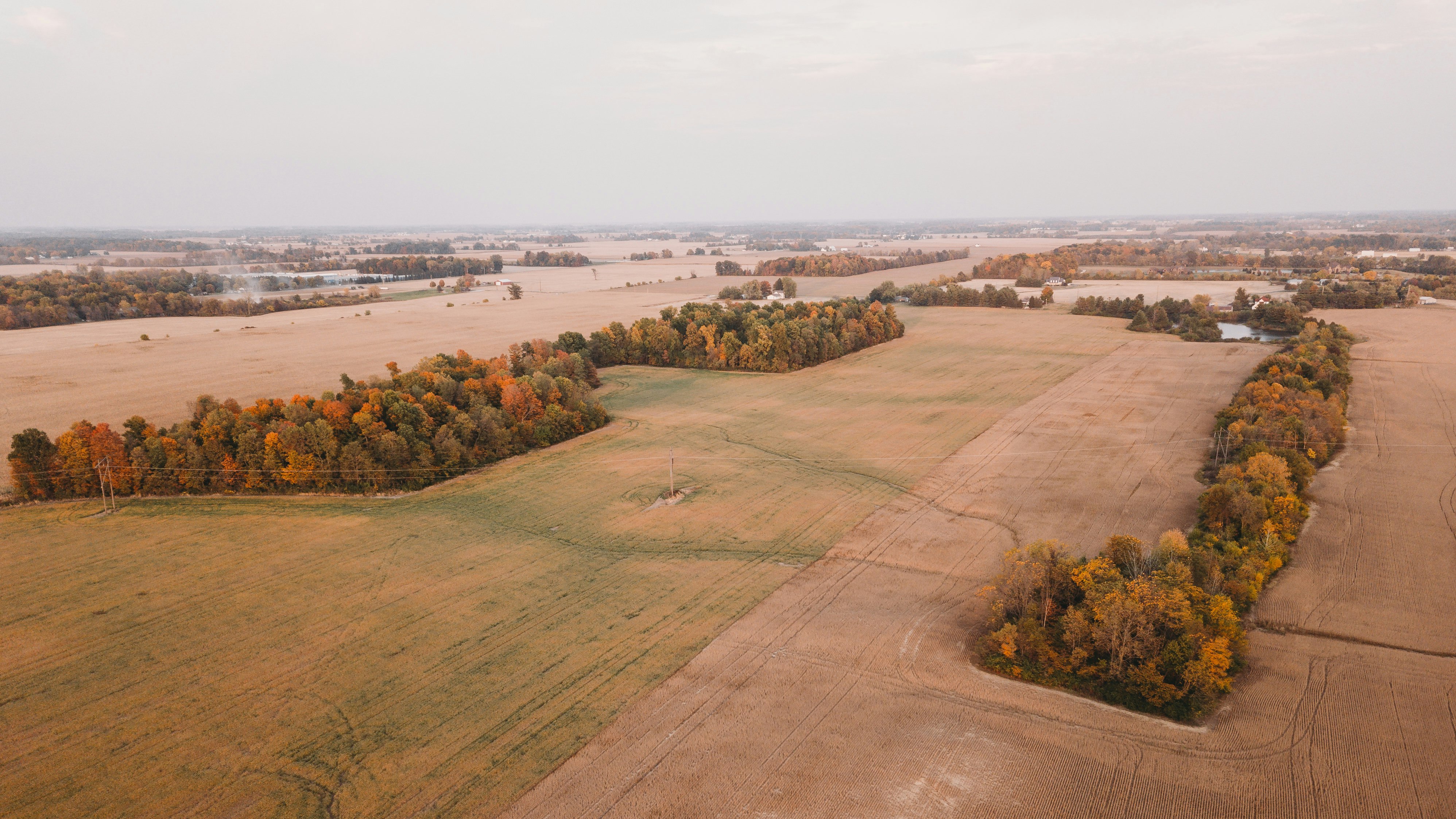 Fields in autumn in Noblesville, Indiana shot with a DJI Mavic Pro on a windy afternoon.