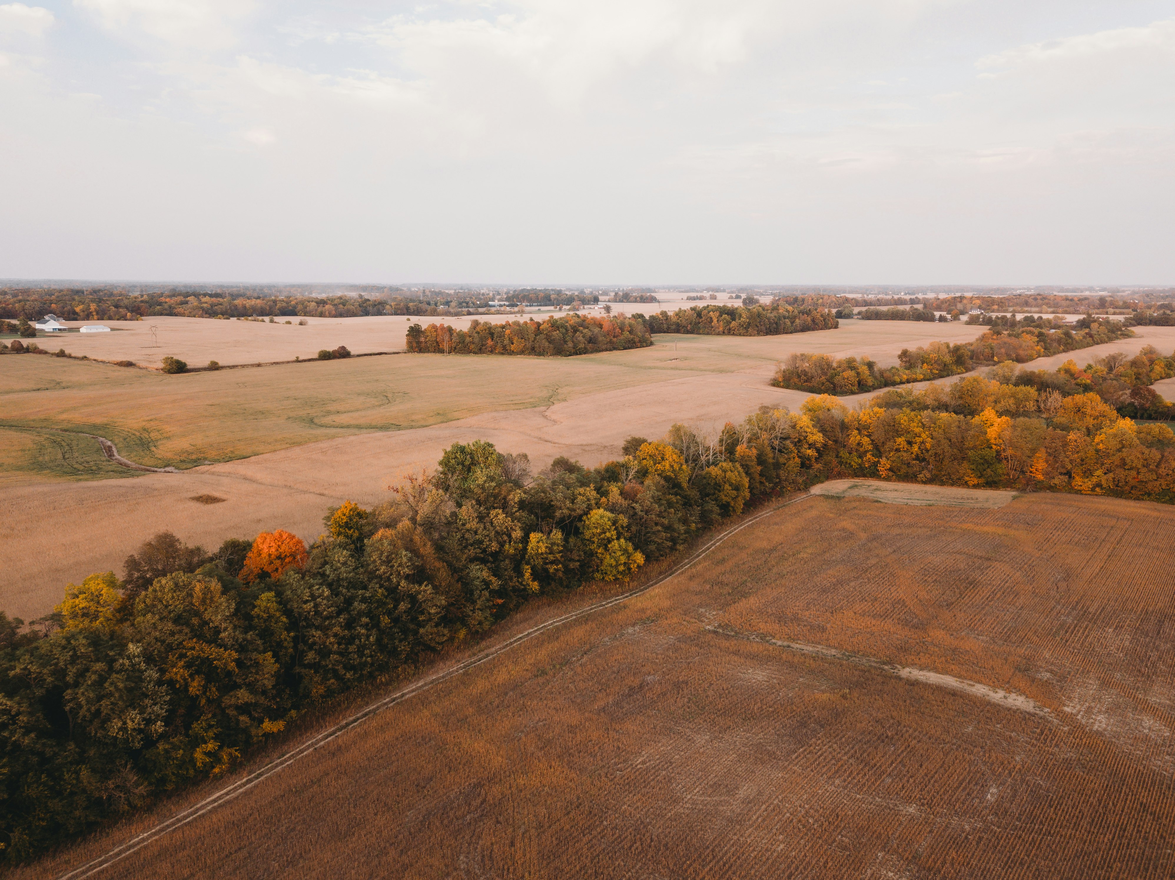 Fields and trees in Noblesville, Indiana. As viewed from a DJI Mavic Pro.