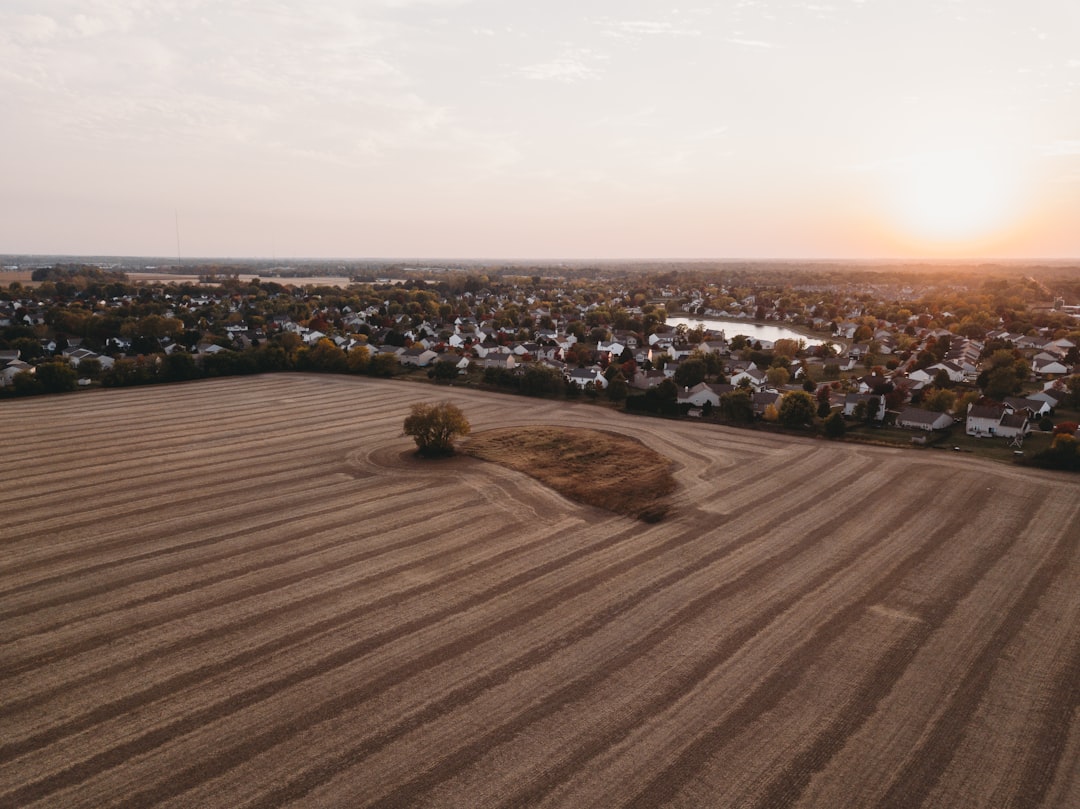 brown field under white sky during daytime