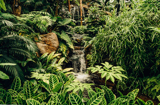 A vibrant cartoon scene of tropical animals gathered near a sparkling waterfall surrounded by lush greenery.