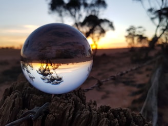 A crystal ball resting on an old, weathered wooden post reflects a sunset and silhouette of trees. The background features a blurred landscape with more trees and a fence line, creating a serene and picturesque scene.