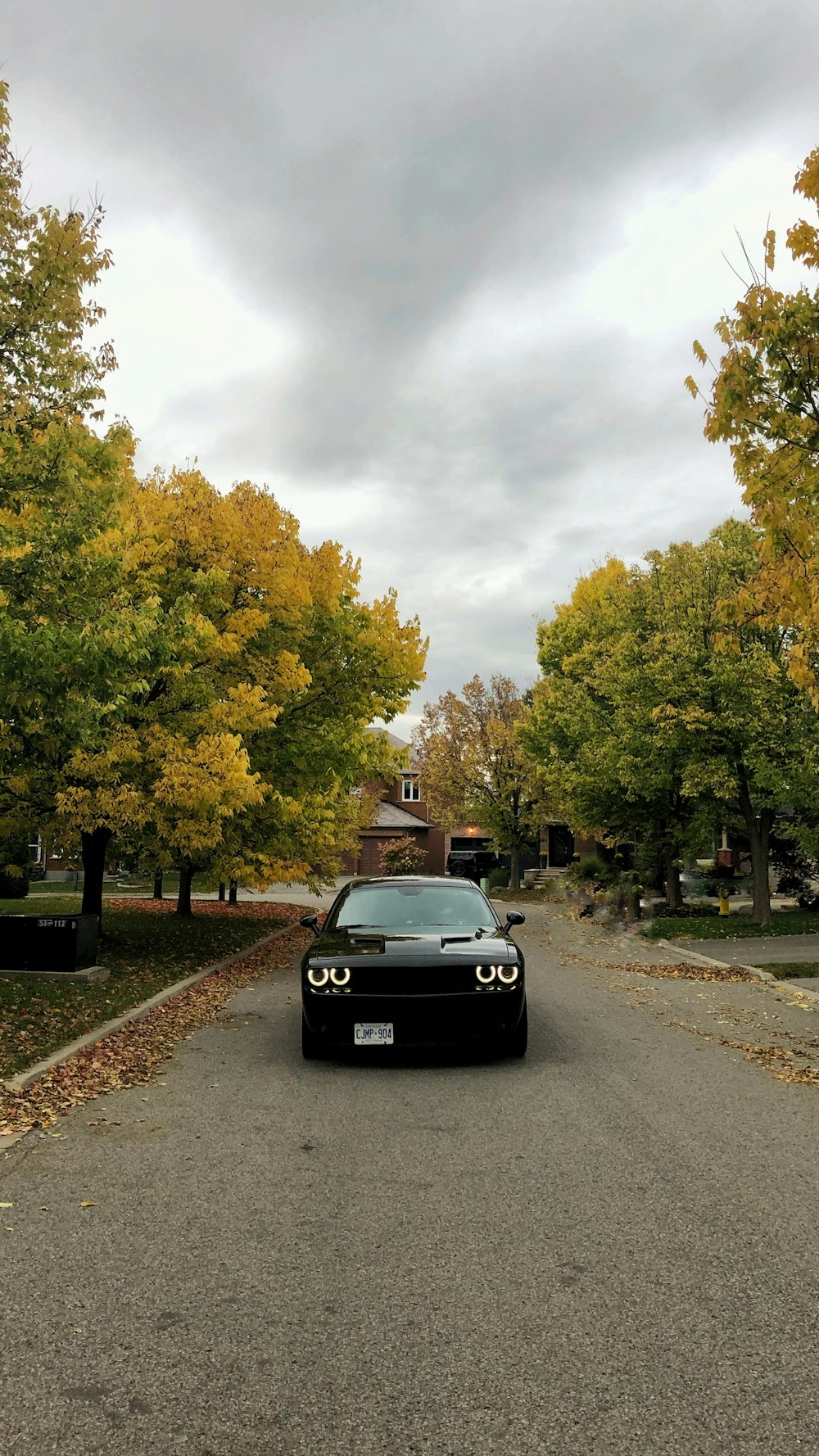 black porsche 911 on road near trees during daytime