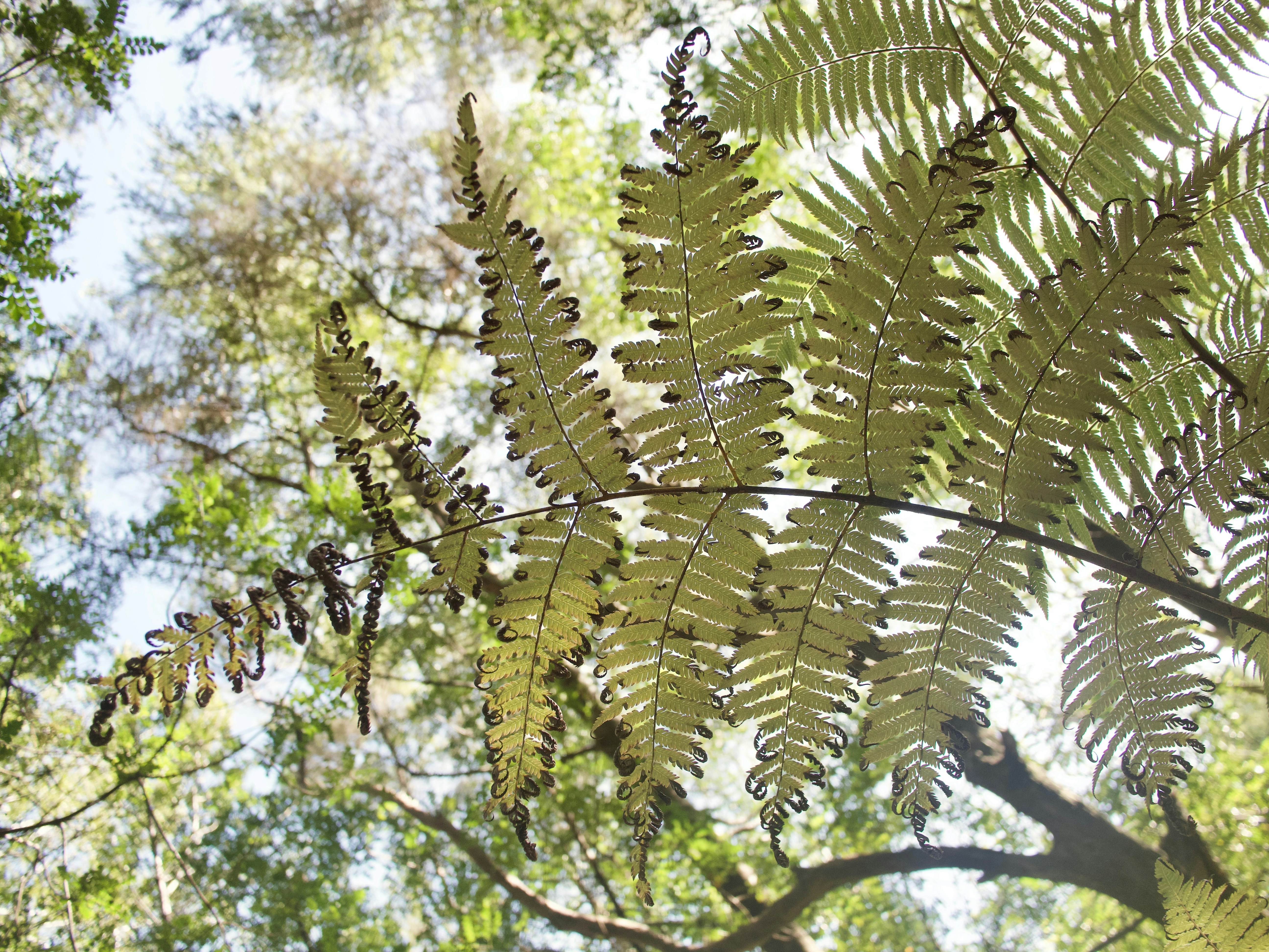 Photo by raquelxmoss