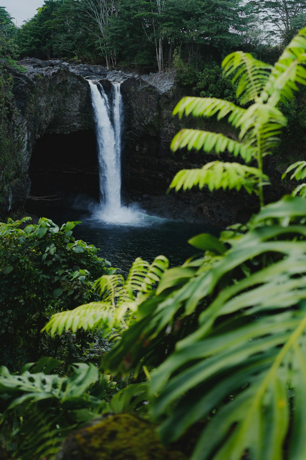 cascades au milieu de roches couvertes de mousse verte