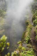 green trees on mountain during daytime