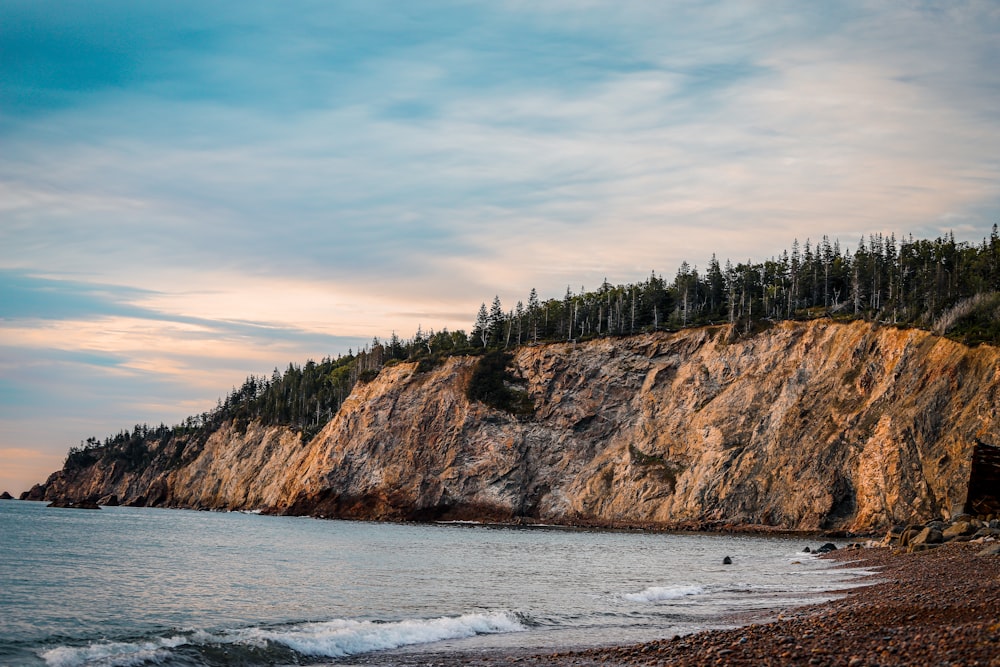 green trees on brown mountain beside body of water during daytime