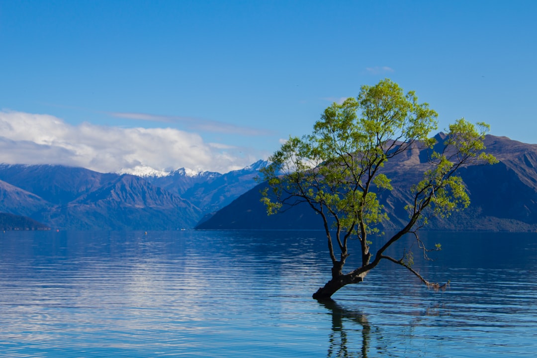 travelers stories about Fjord in Wanaka, New Zealand
