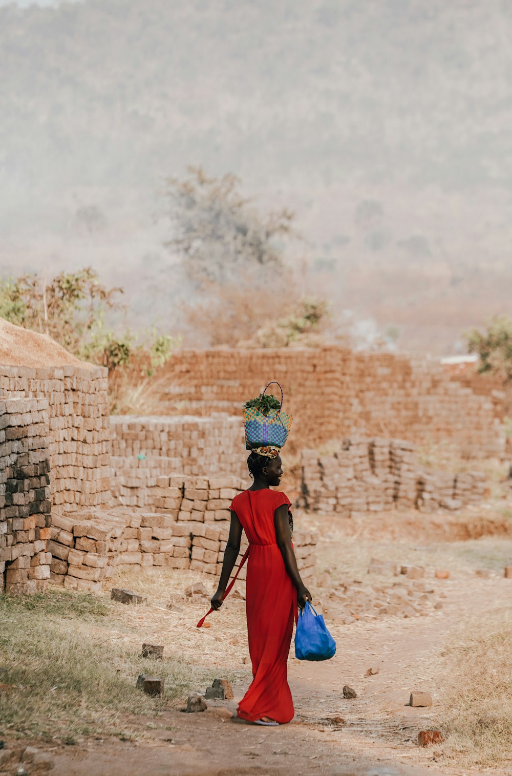 woman in blue and red dress standing near brown brick wall during daytime