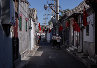 people walking on street during daytime