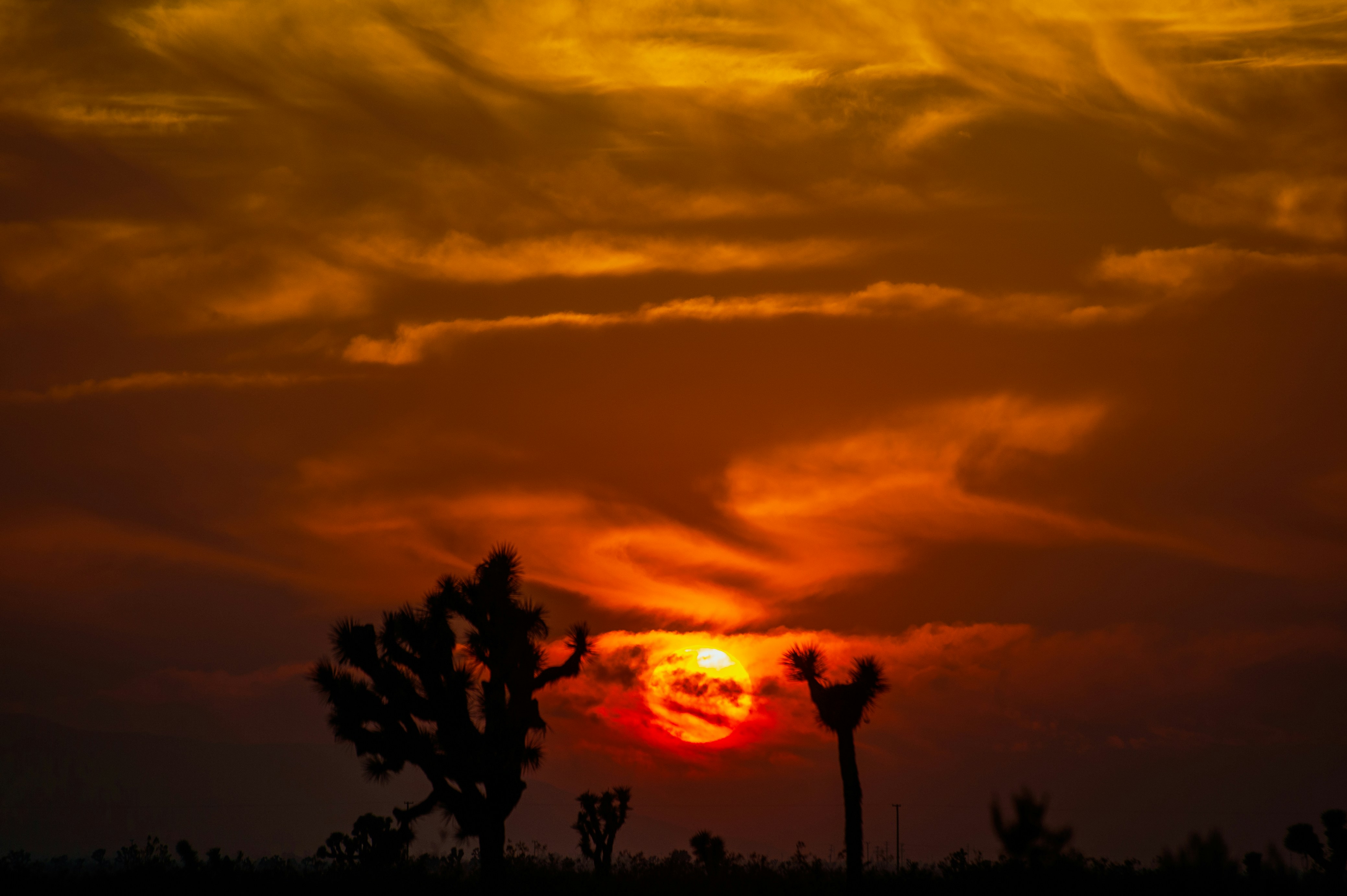 Photo by luisjlara343