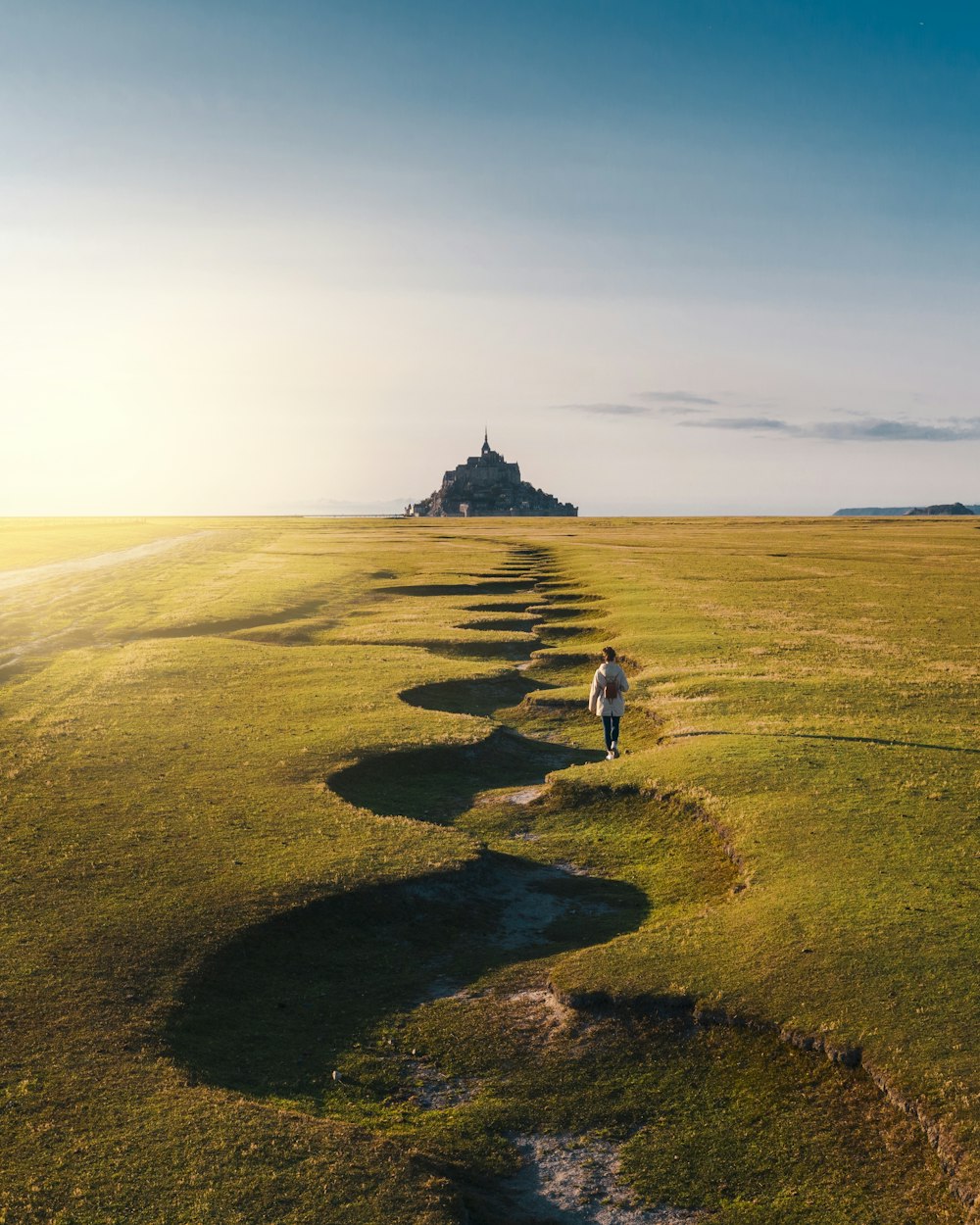 campo di erba verde sotto il cielo bianco durante il giorno