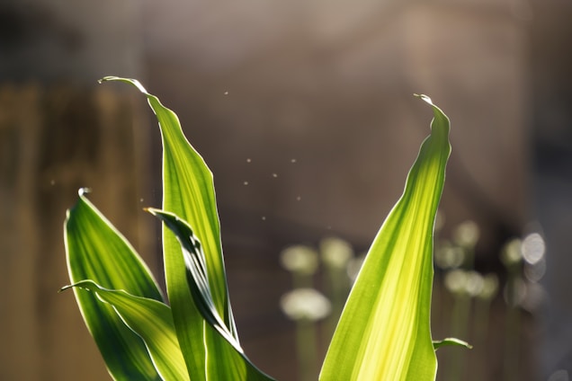 A serene green herb glowing softly, symbolizing life and healing energy.