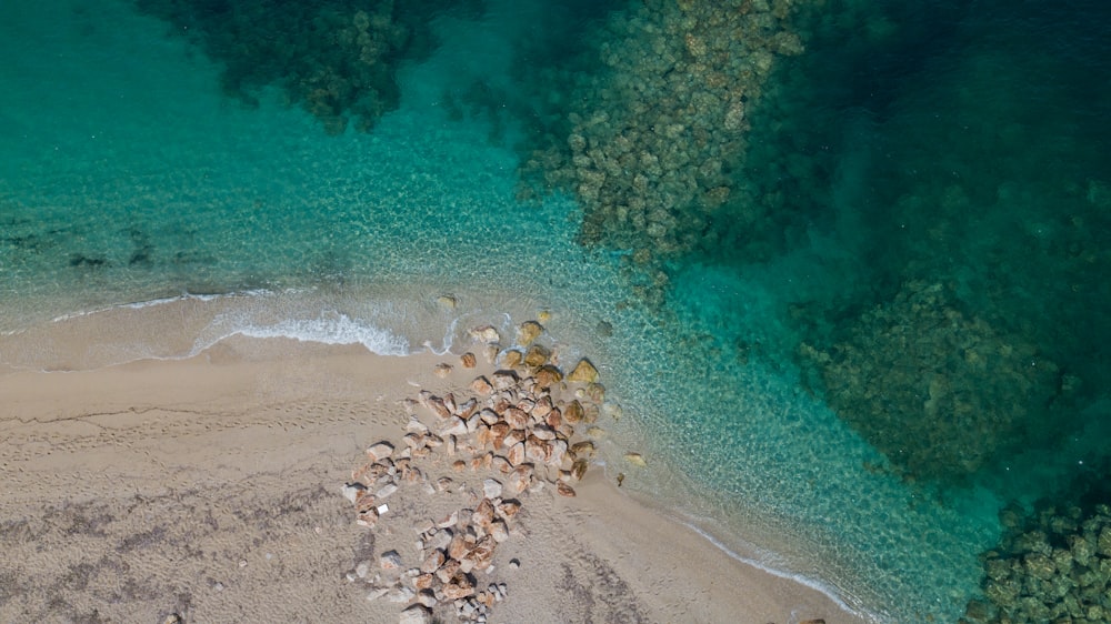 brown and white stones on seashore during daytime