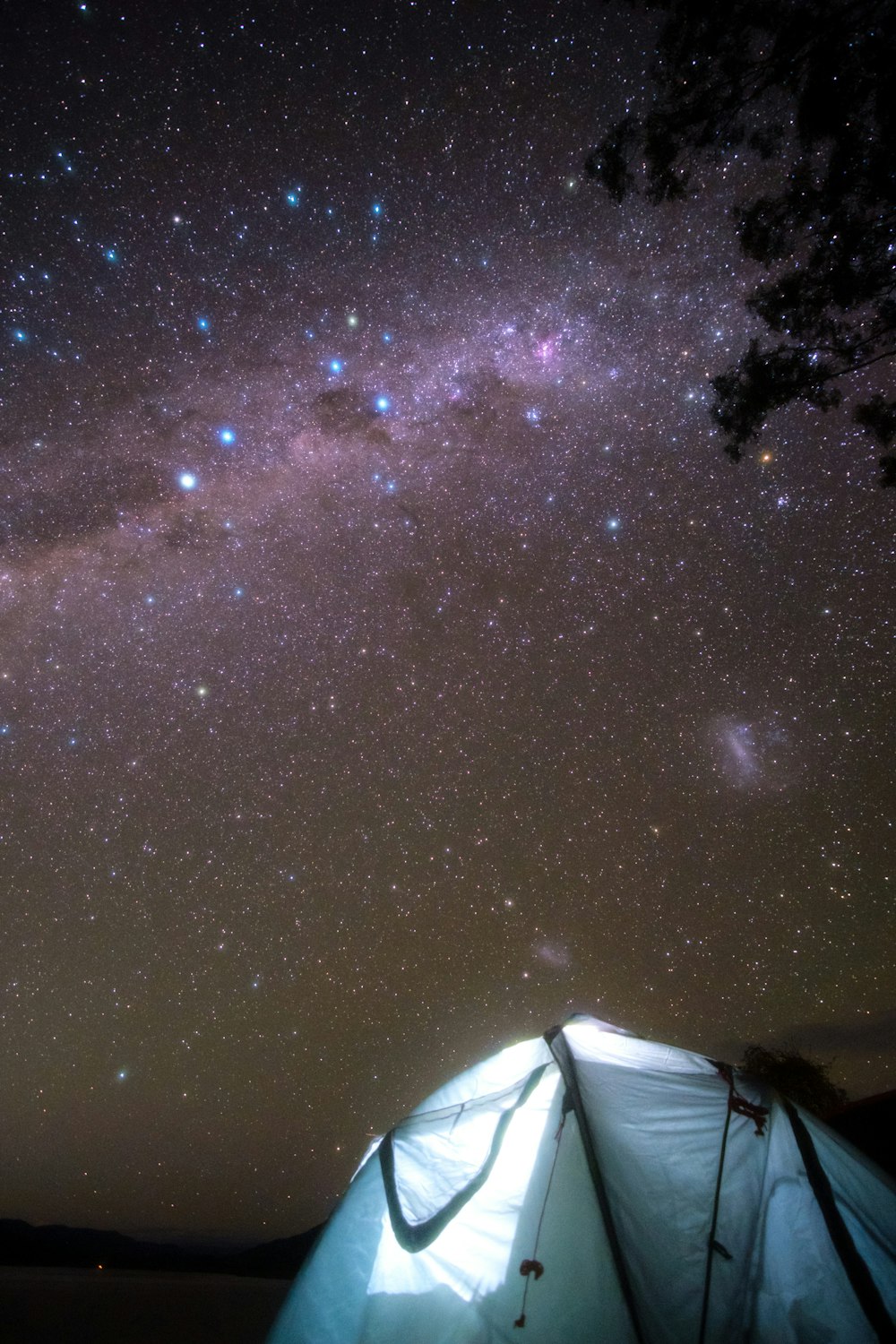 green tree under blue sky with stars during night time