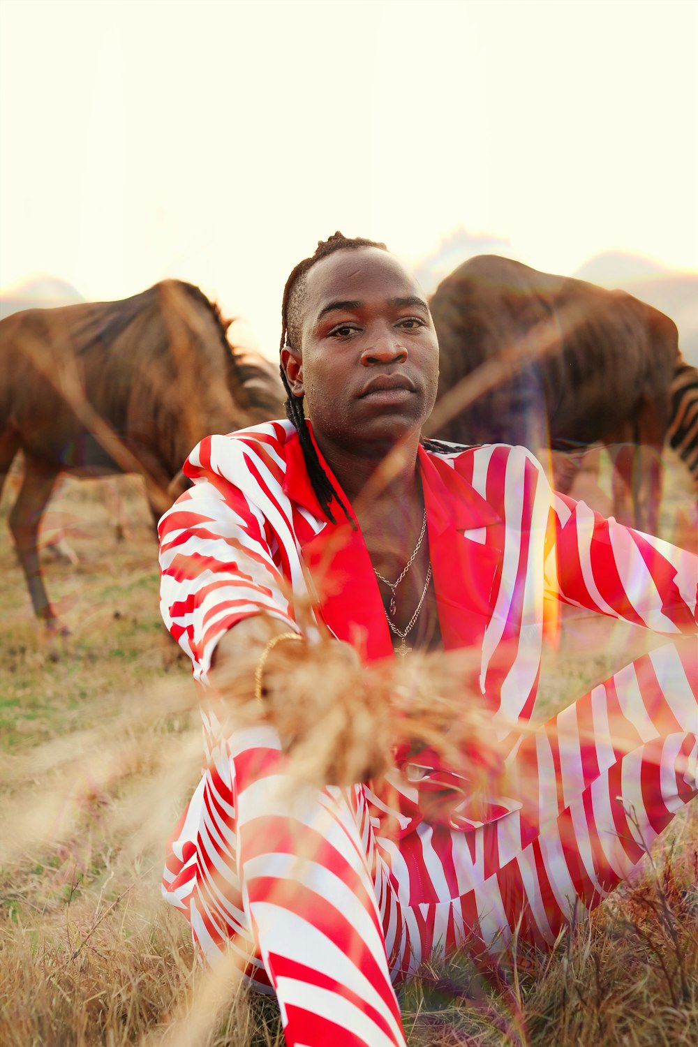 homme en polo rayé rouge, blanc et bleu debout à côté d’un cheval brun pendant la journée