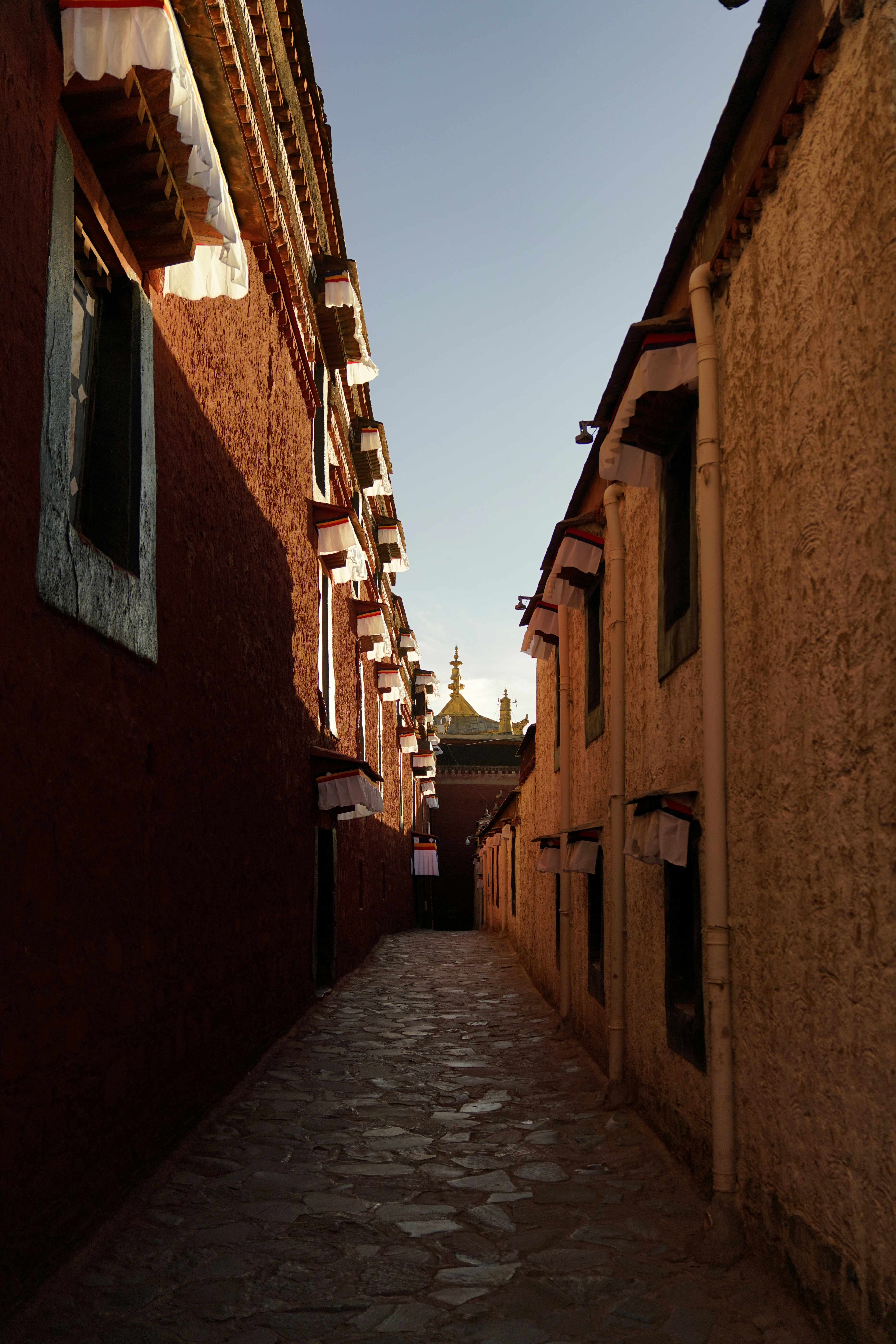 Photo by dylanmonster