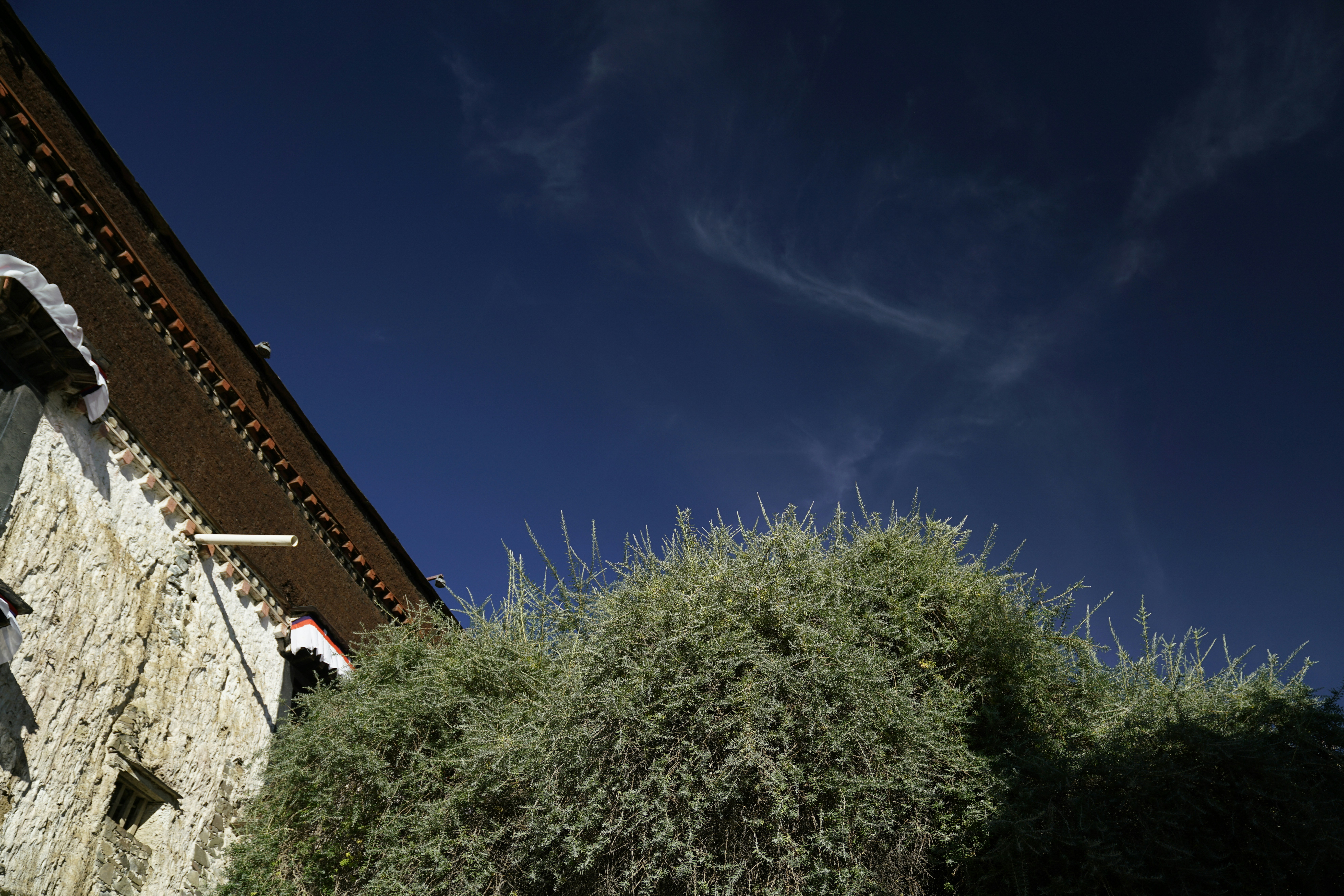 Photo by dylanmonster